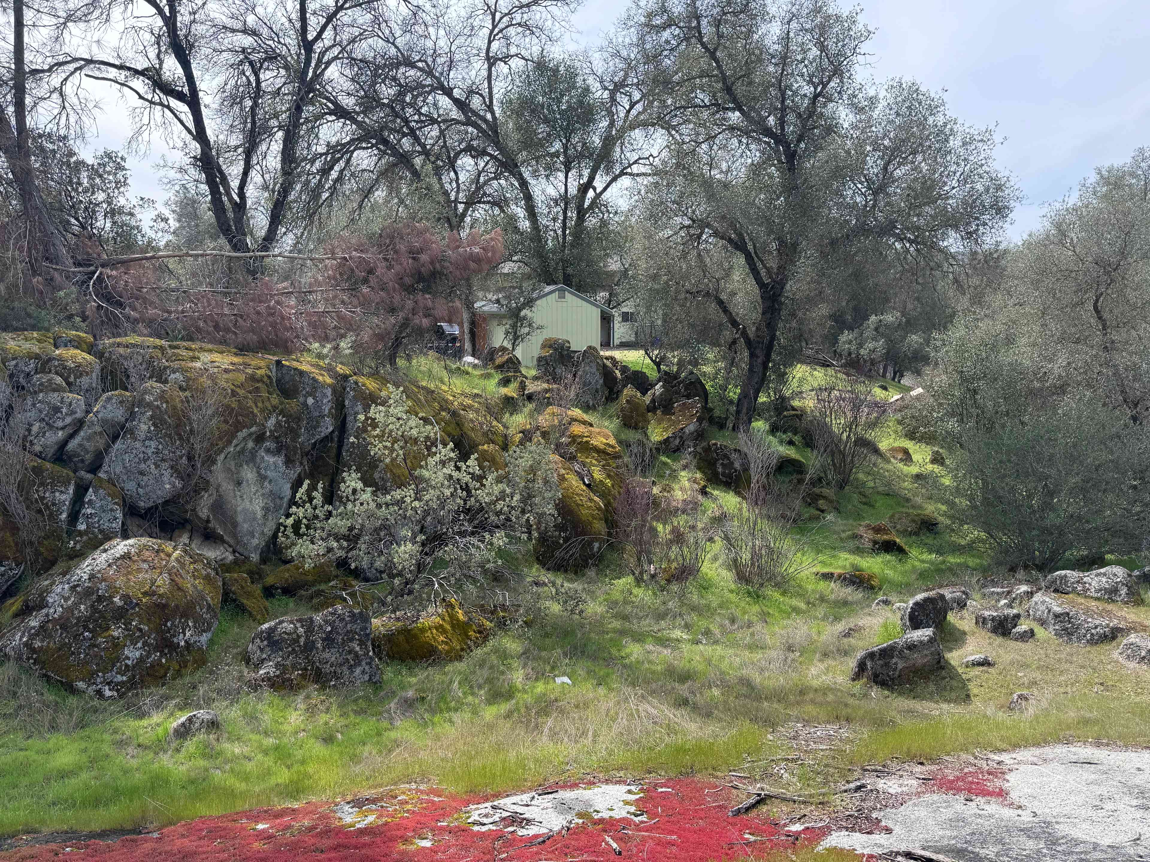 San Pedro Ranch