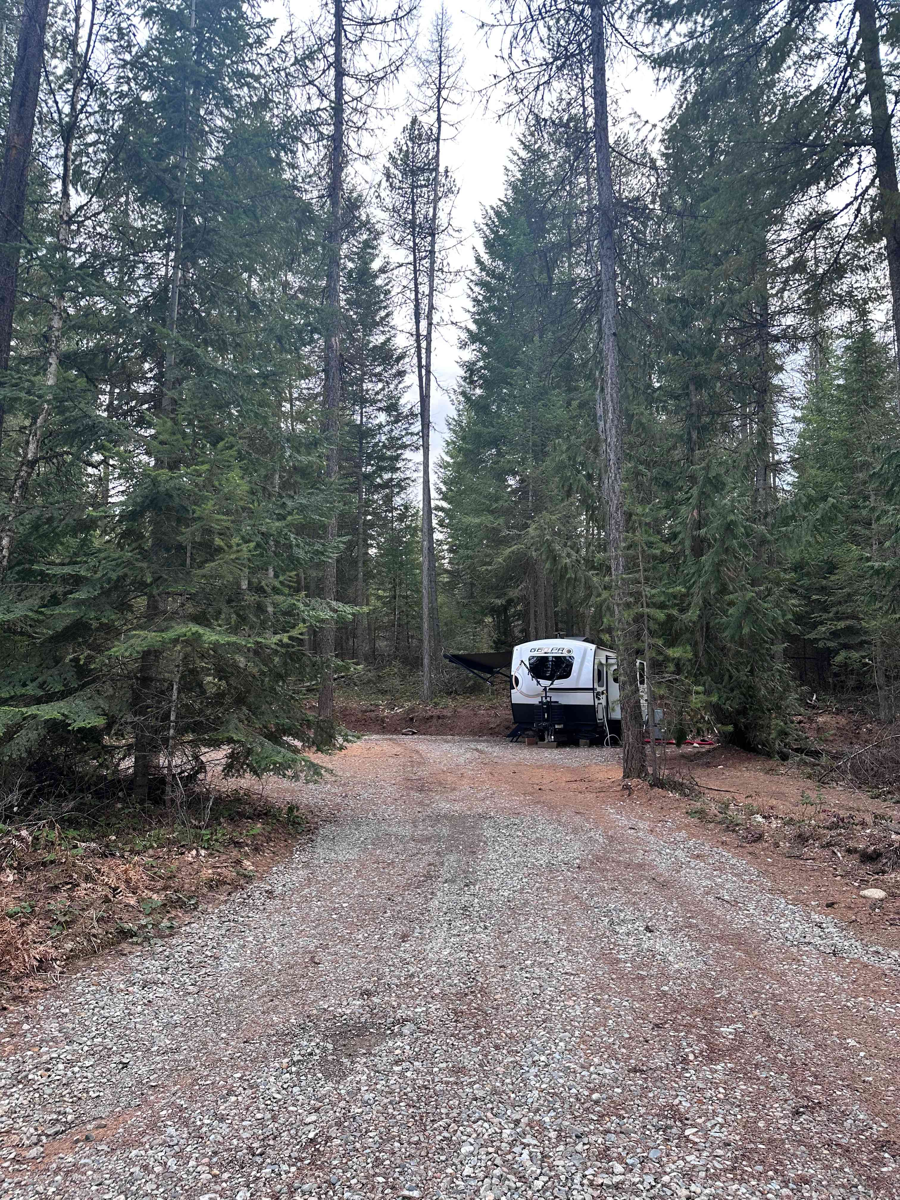 Wildwood Pines