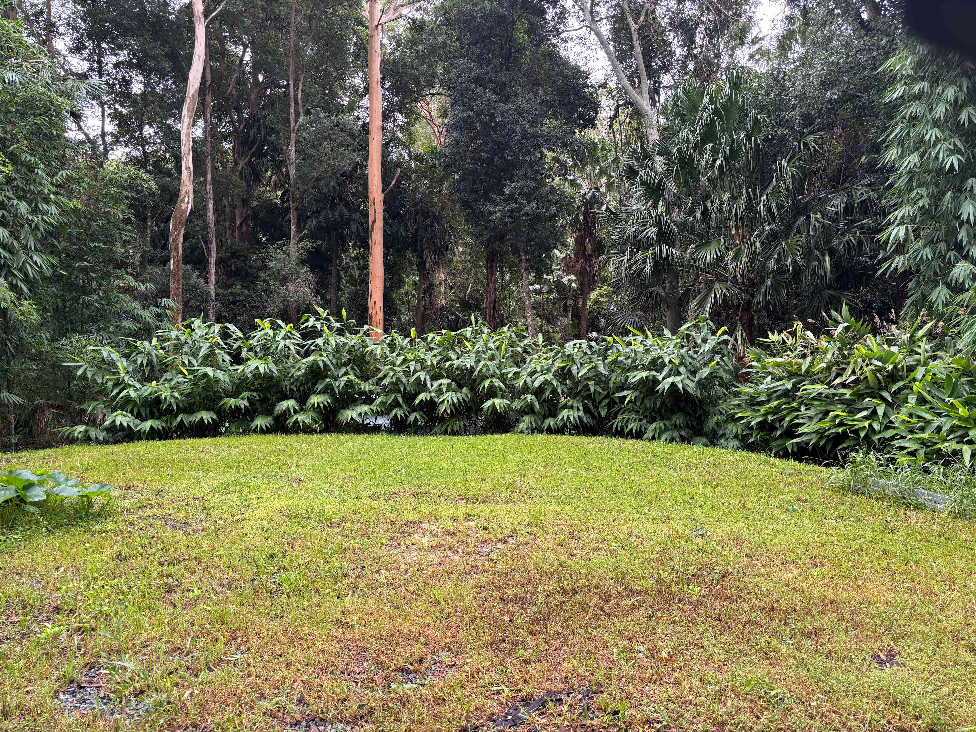 Level Land By Rainforest Near Lake
