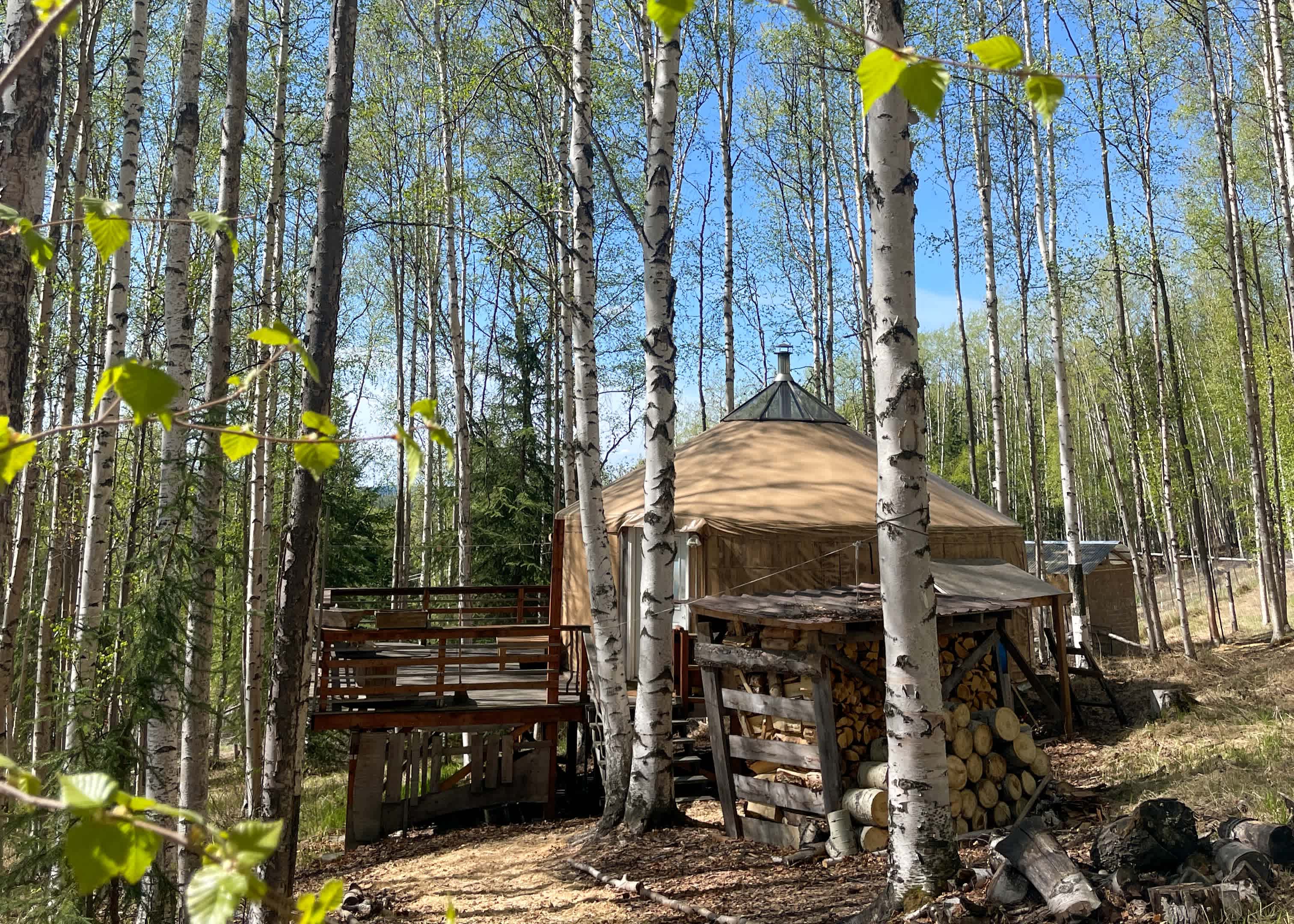 The Yurt At Calypso Farm