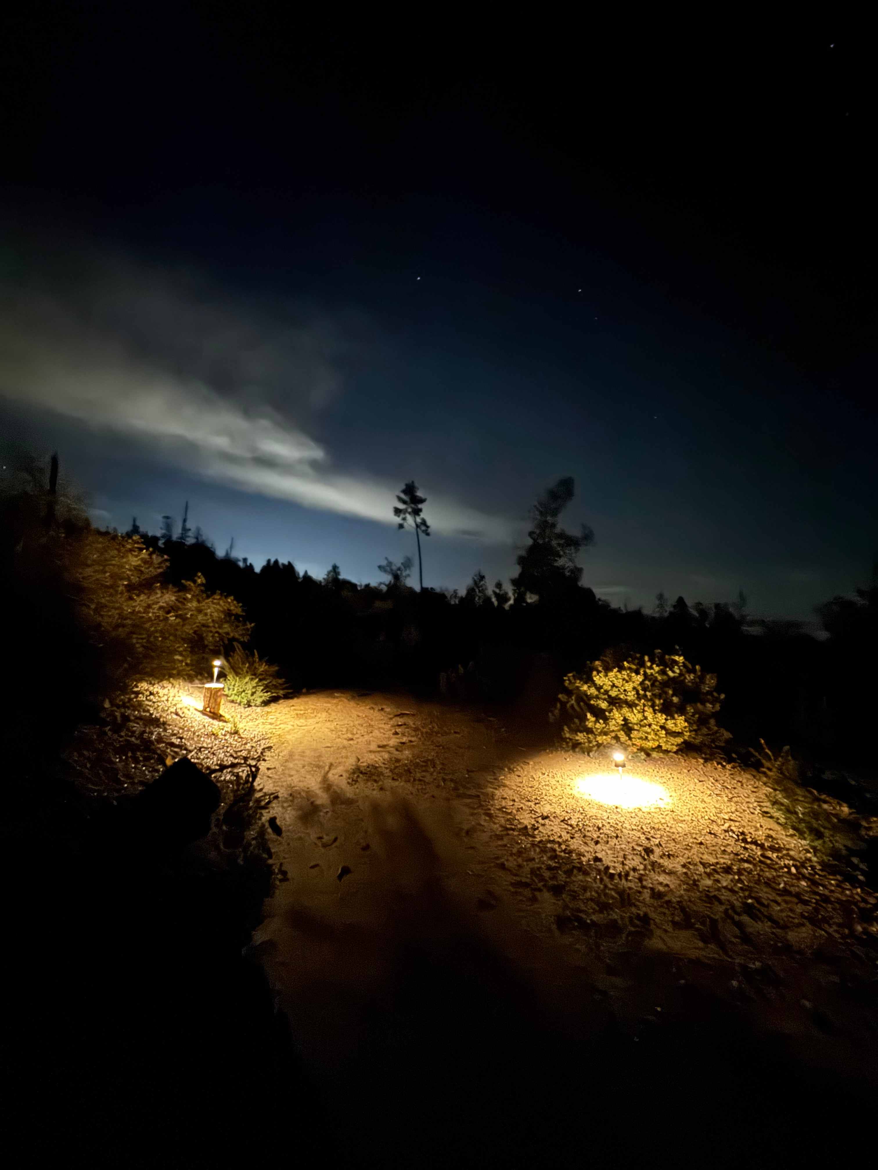 Camp Rewilding