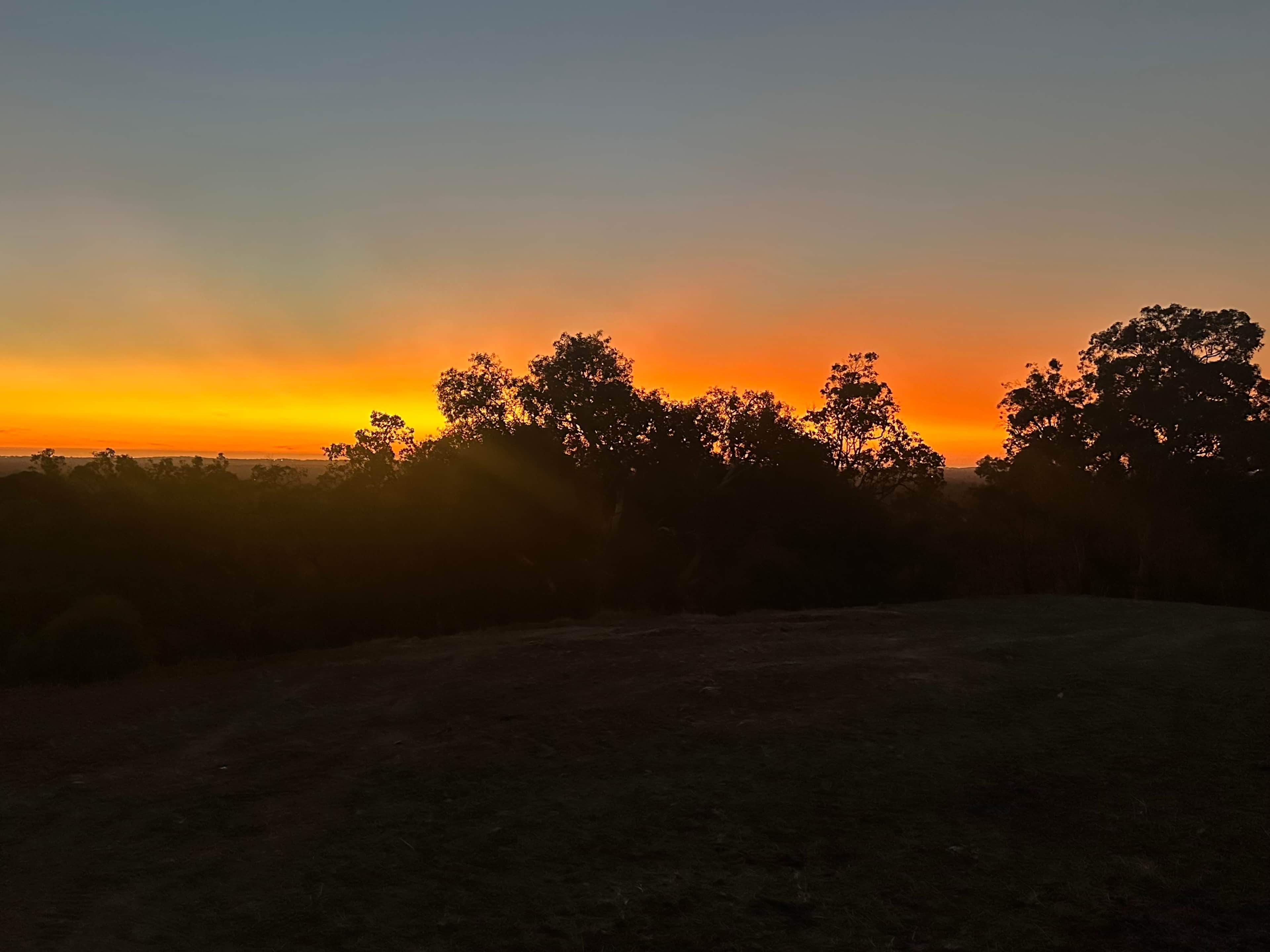 Yarrabah High Country- Jarrahdale