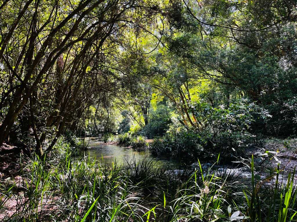 Kalang Farm Wildlife Sanctuary