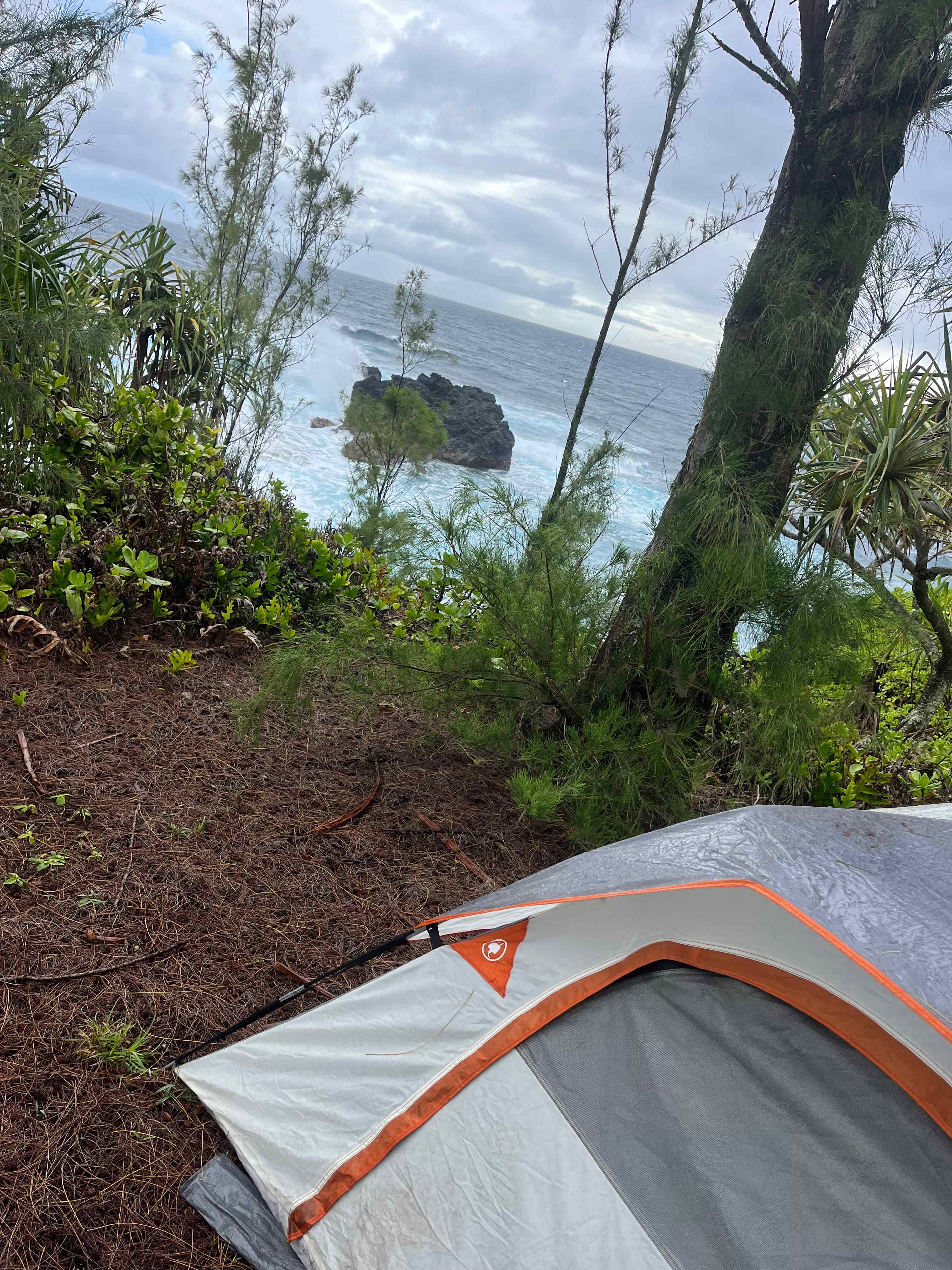 Untouched Hawaiian Land