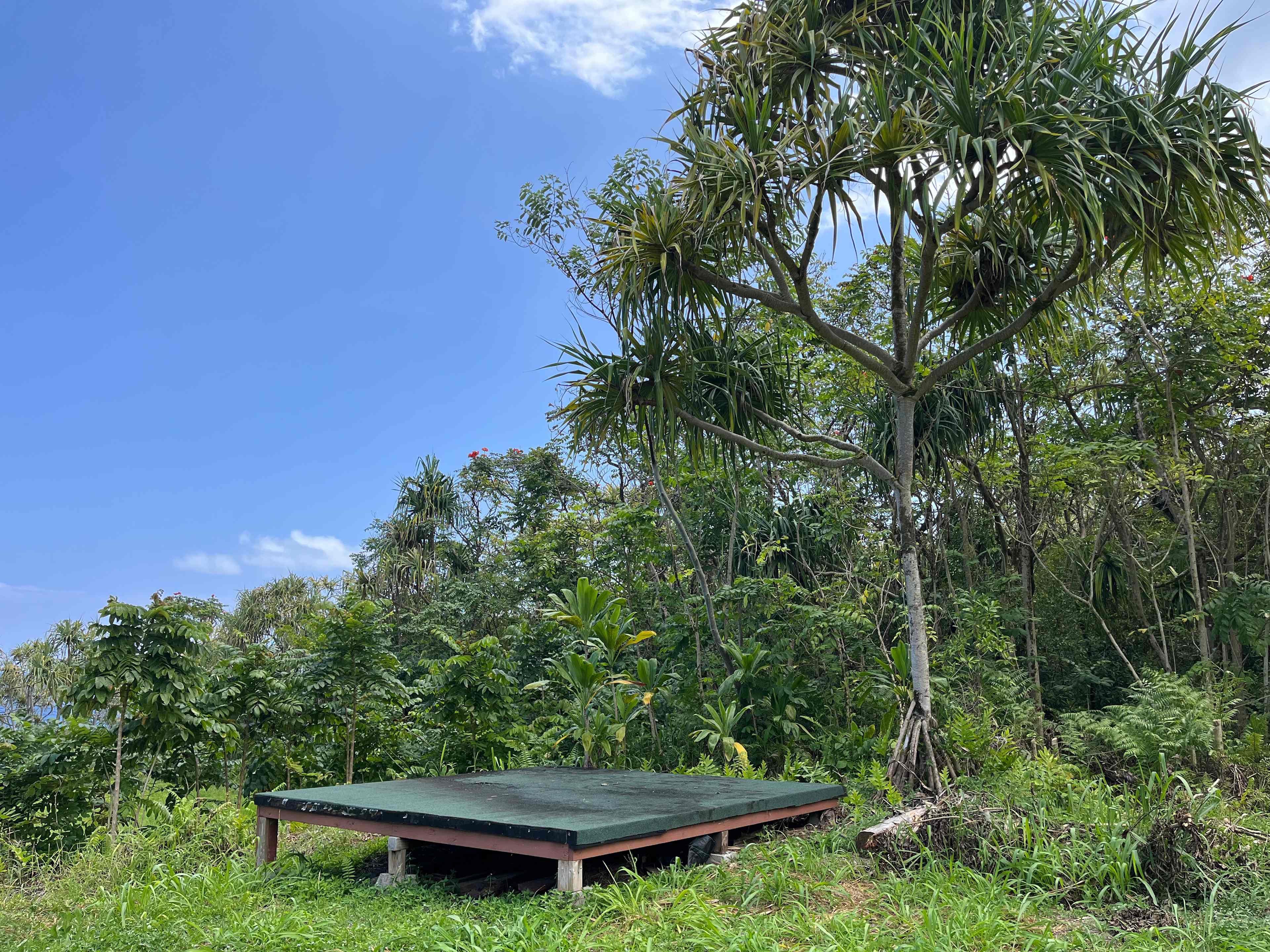 Untouched Hawaiian Land