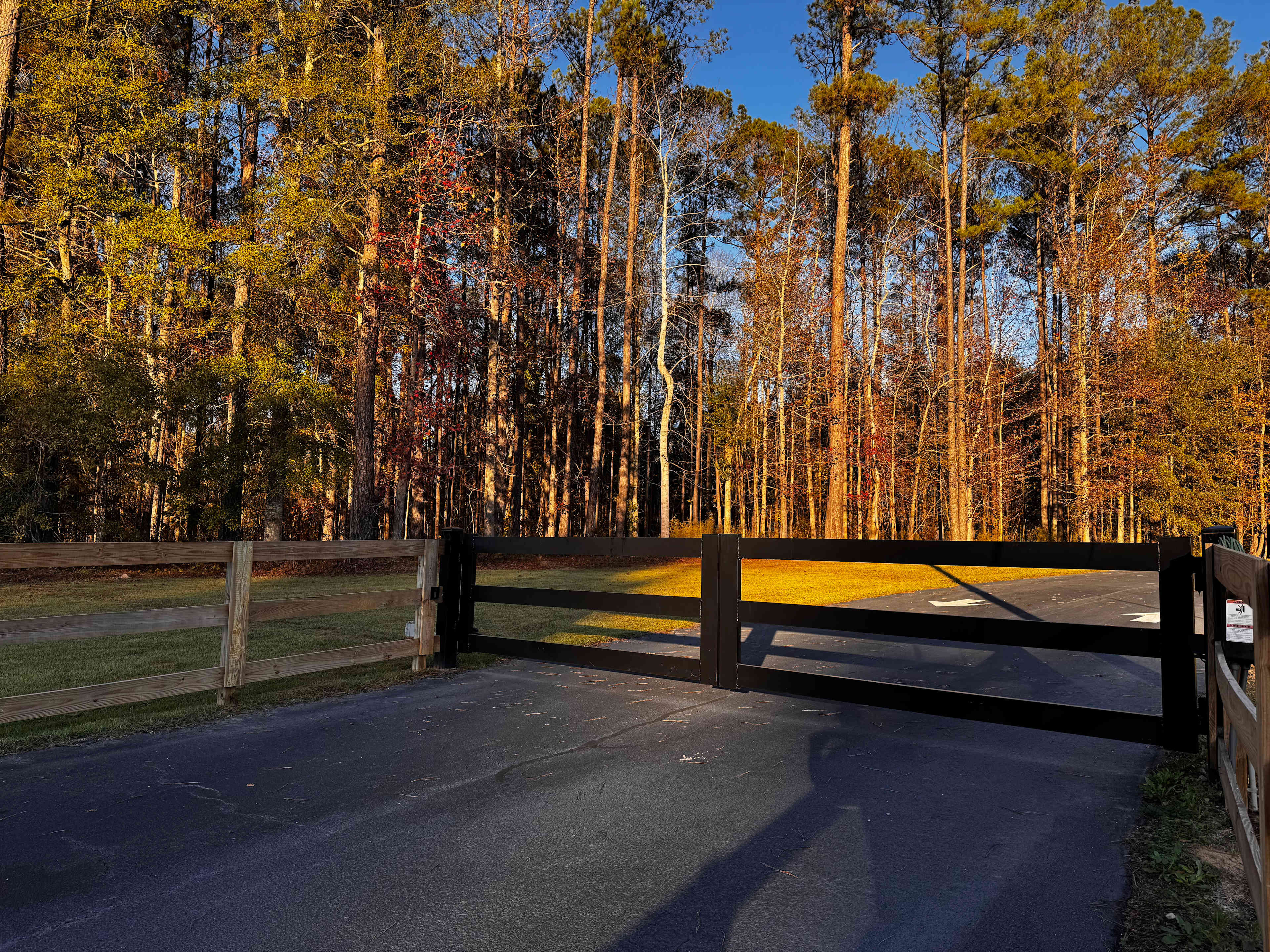 Private Georgia Forest