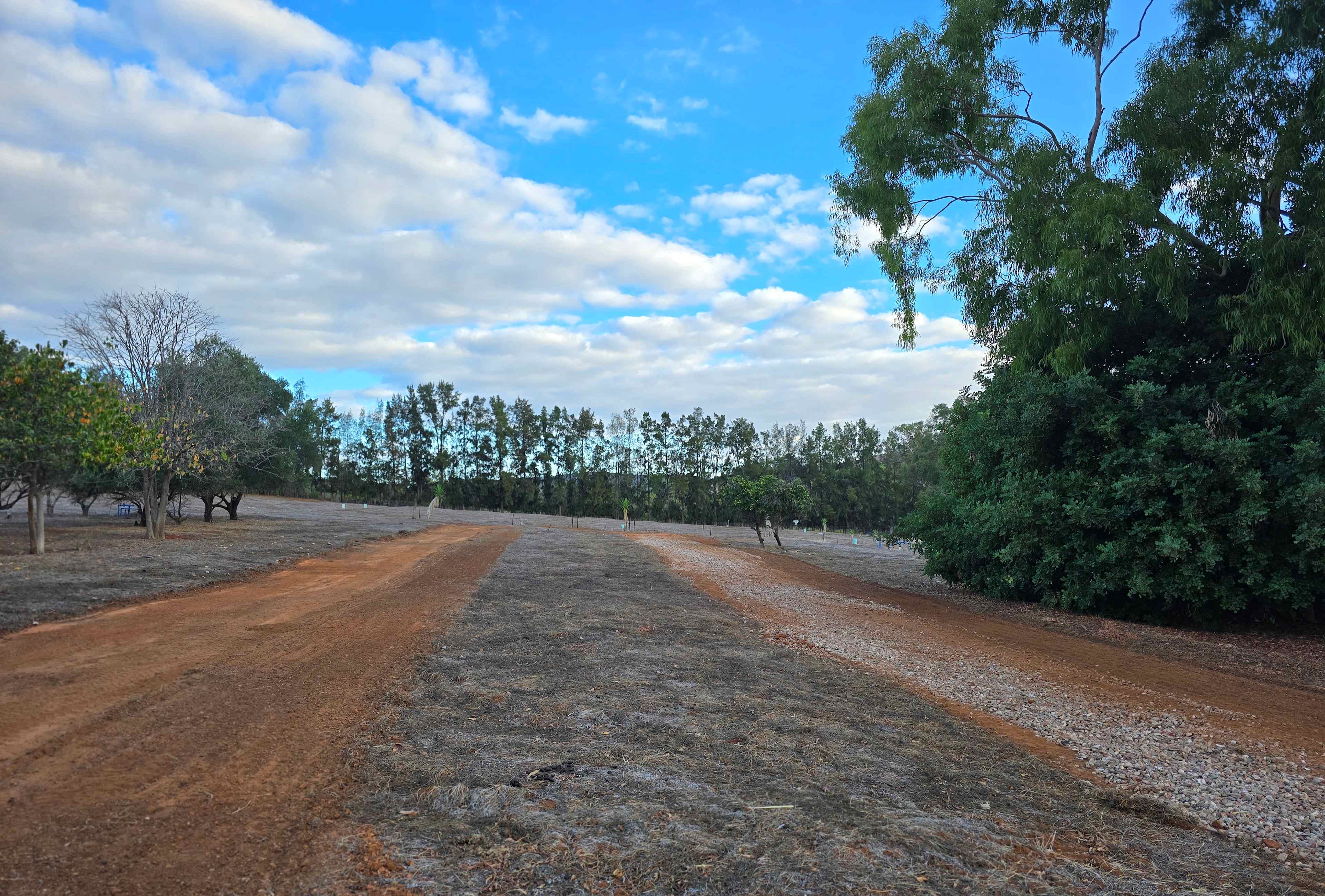 Citrus Park – A peaceful escape