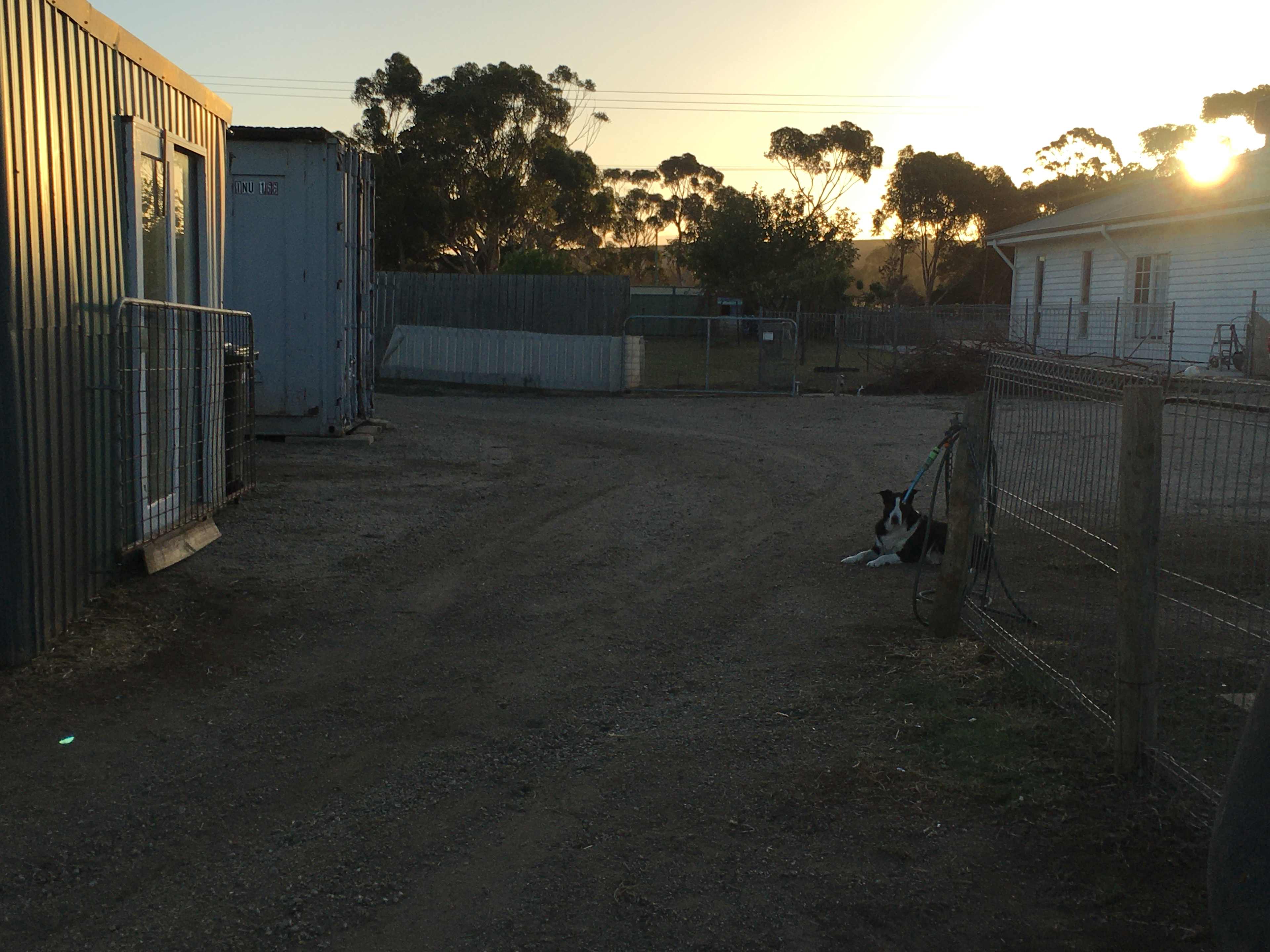 Lara Hobby Horse Centre
