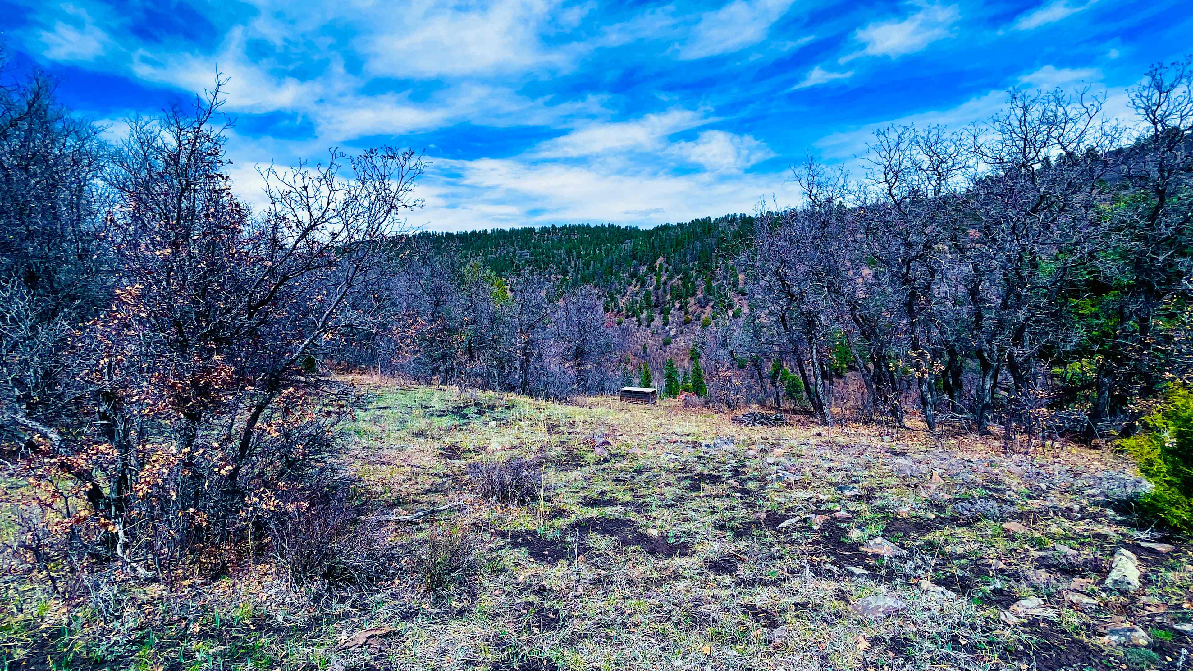 Hartwork Ranch