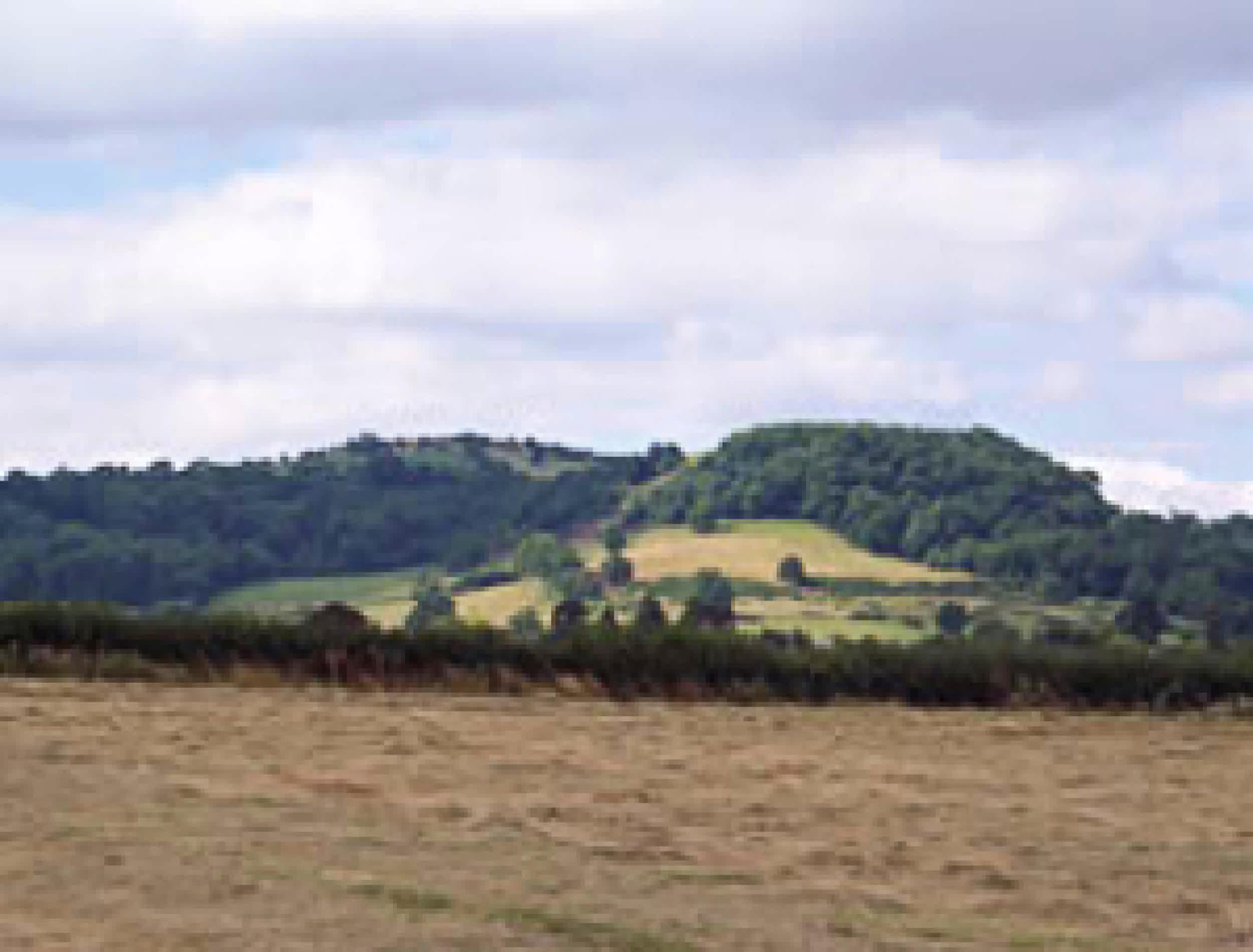 Hobnails View LittleWashbourne GL20