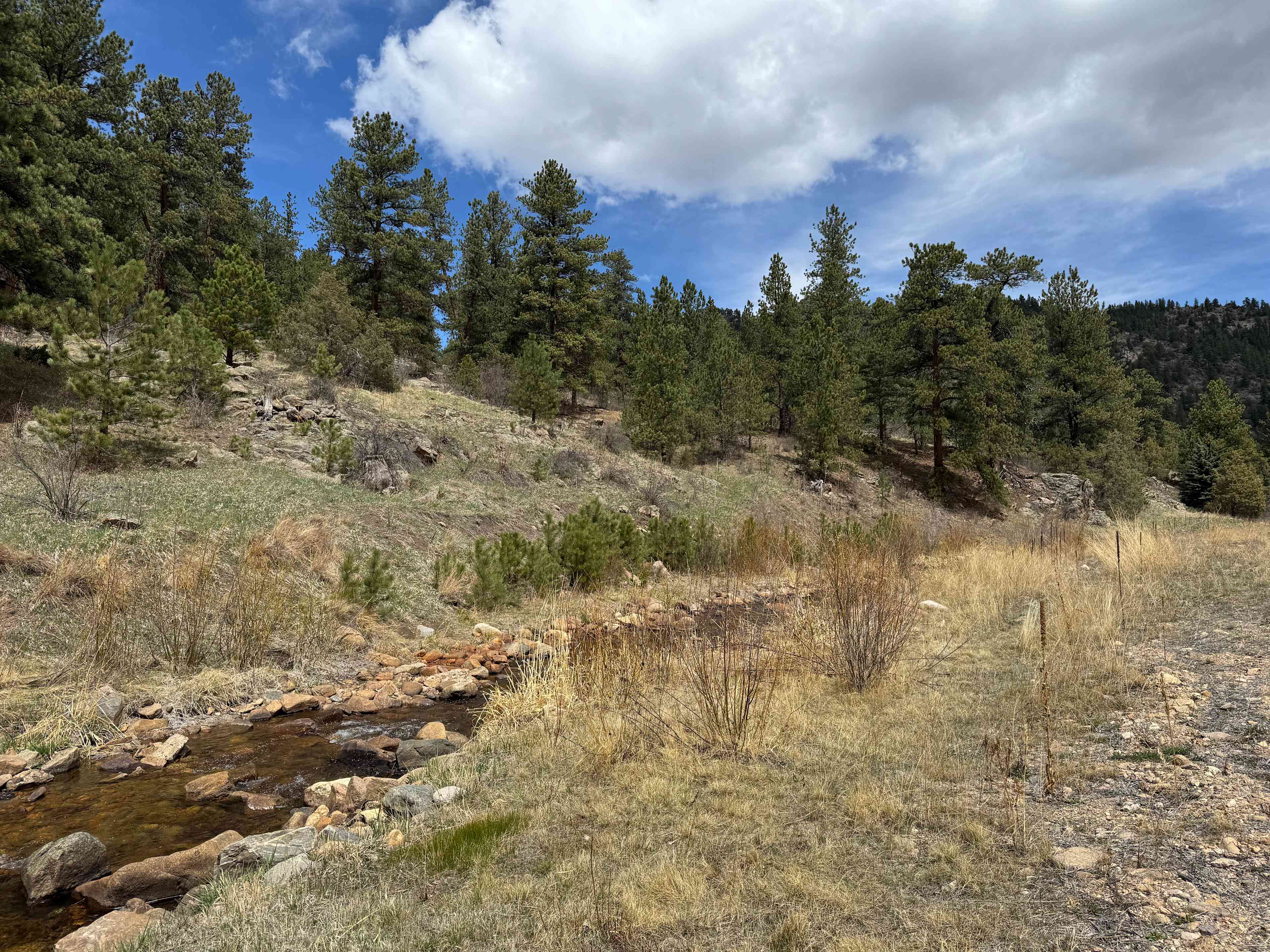 River campsite near Estes Park