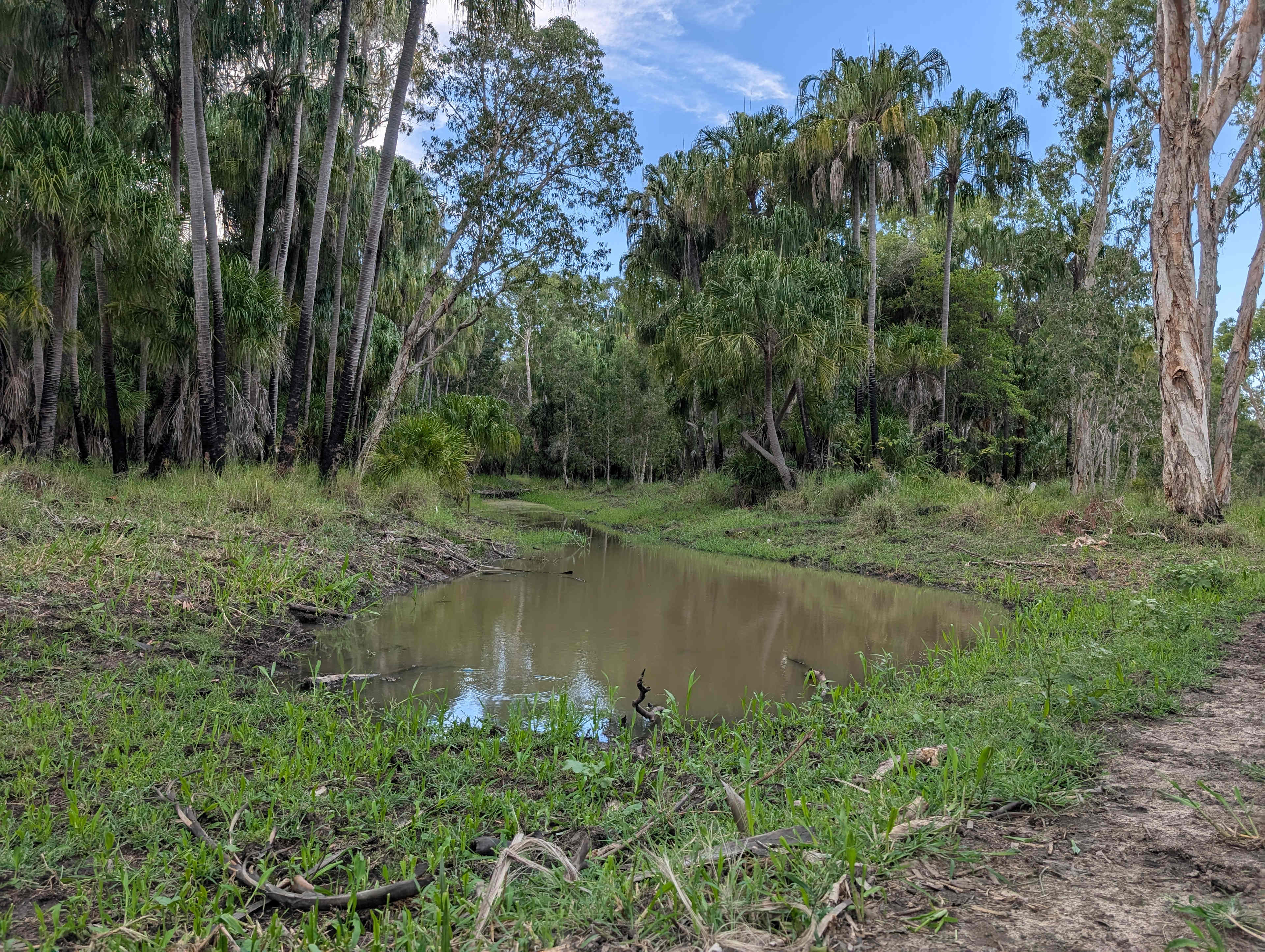 Jorassic Park ( Clothing optional )