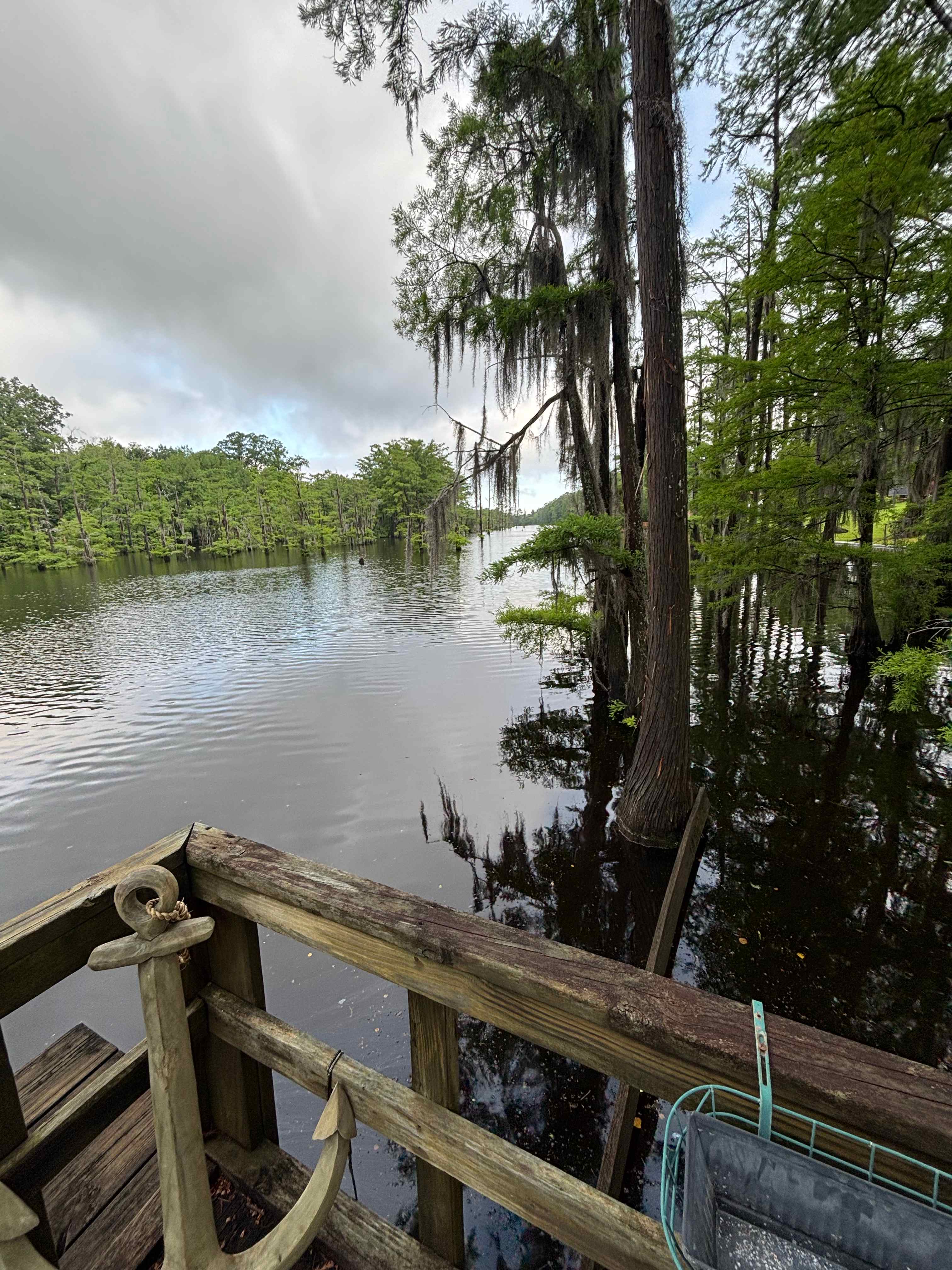 Bayou Choo Choo and Bayou Views