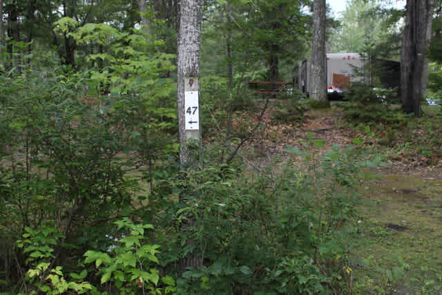 Twin Bears Wooded Campground