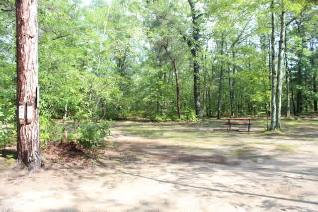 Twin Bears Wooded Campground