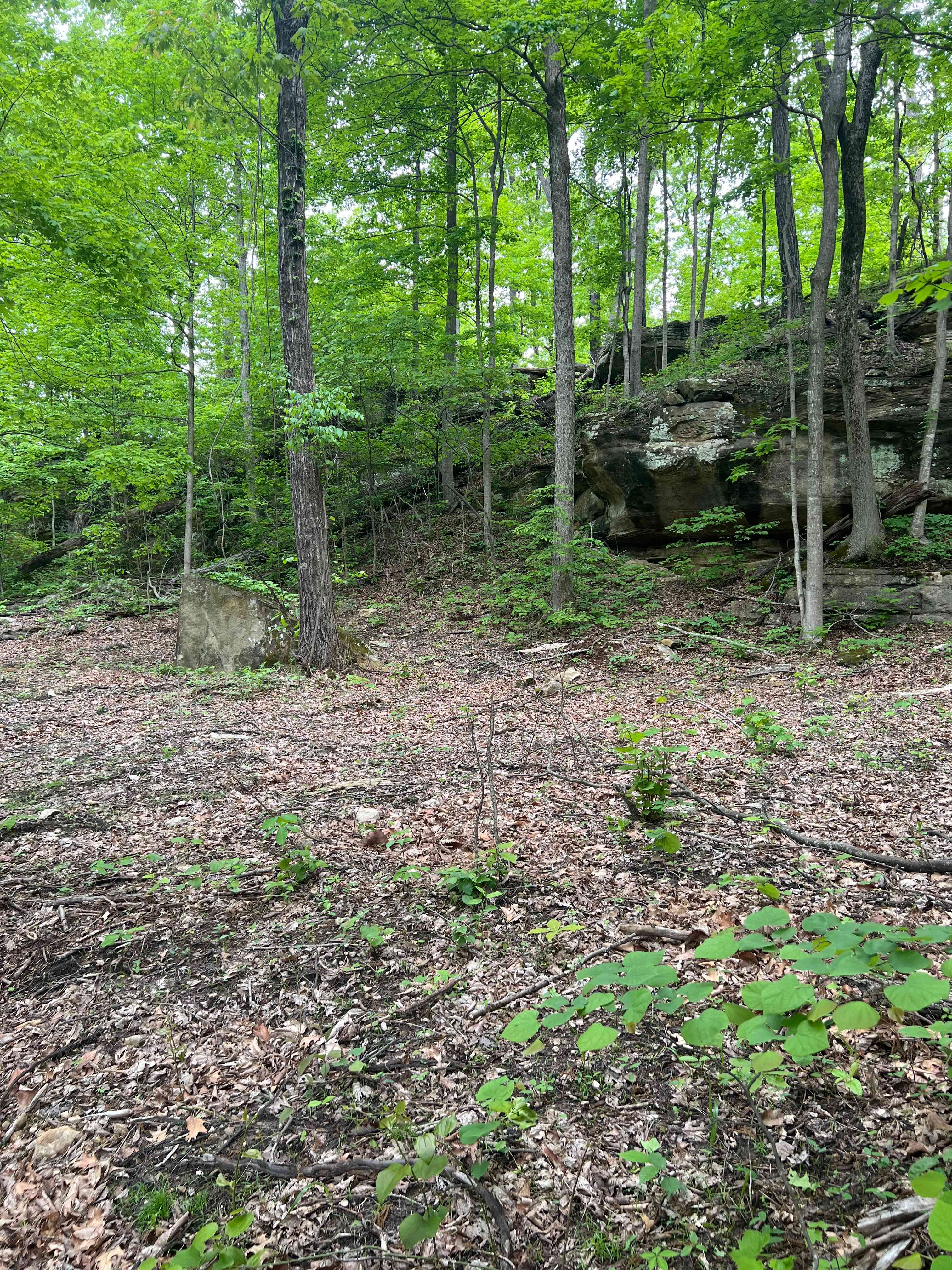 This is the back of the property next to what we call Tilting rock. Flat spots throughout and a pond close by. Since this is in the back of the property, the road to get here can get pretty muddy in rainy weather. Four wheel drive is recommended. Or you may park and hike in if wanted. 