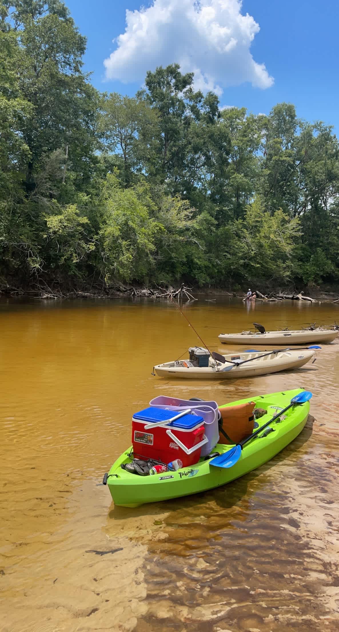 Elevate Red Creek Cabins & RV