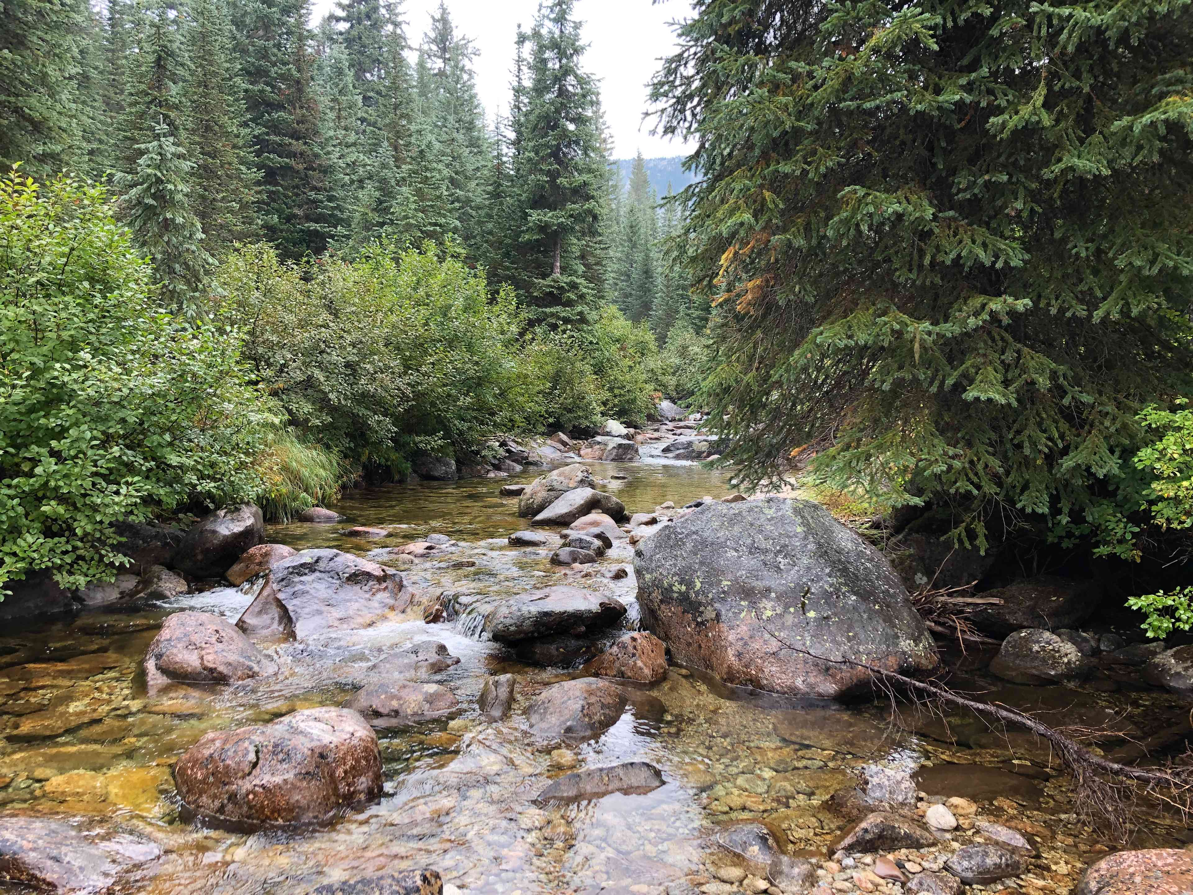 Pack River Camp