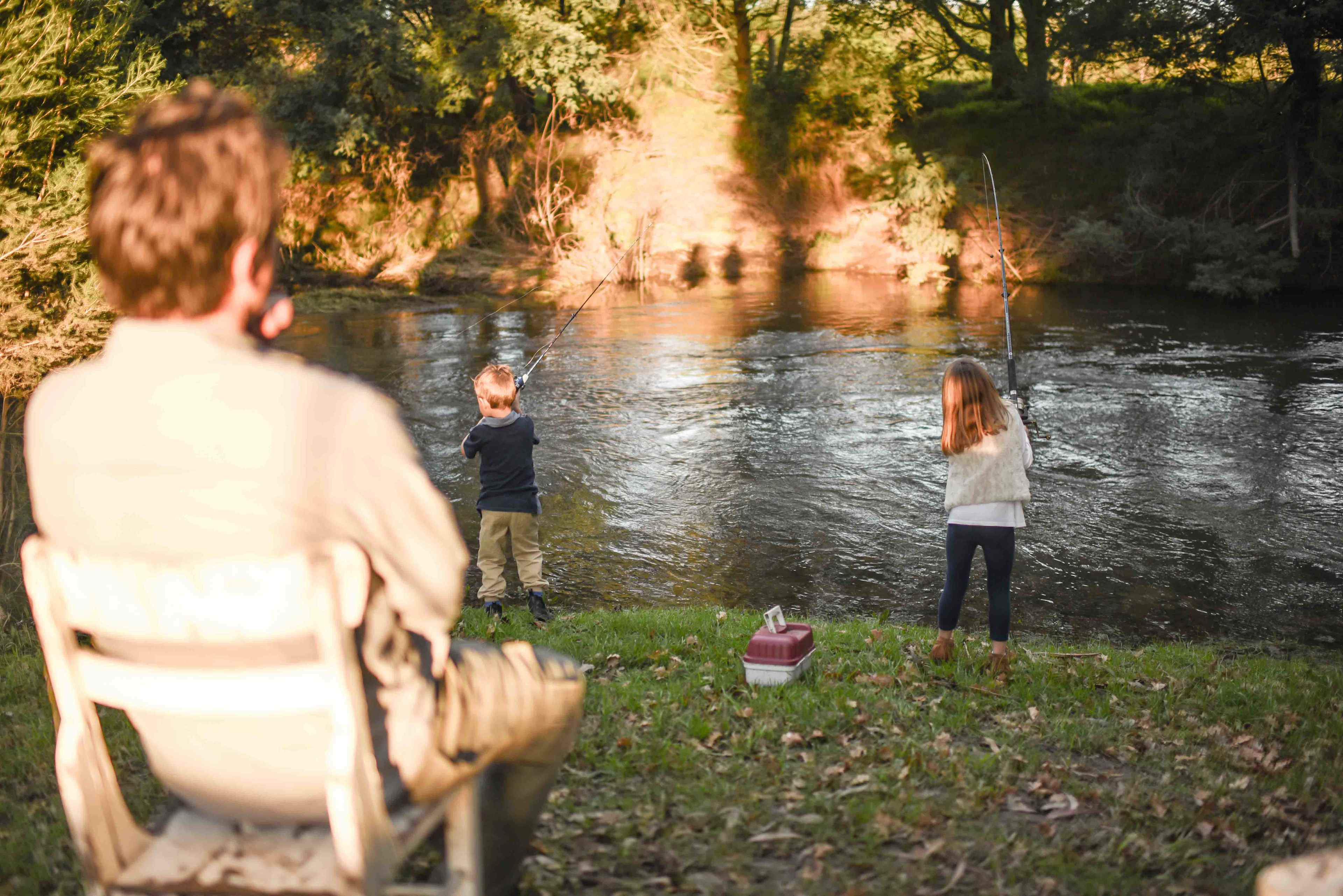 Fish in the river
