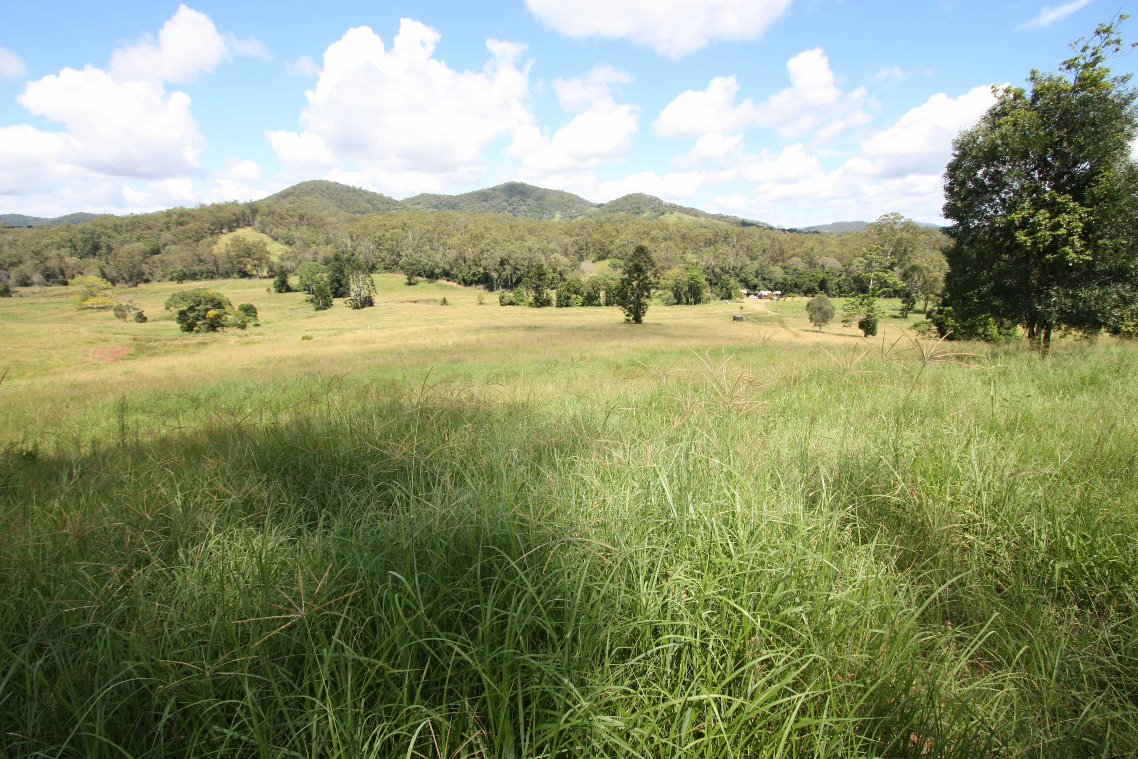 View to cabins and camping