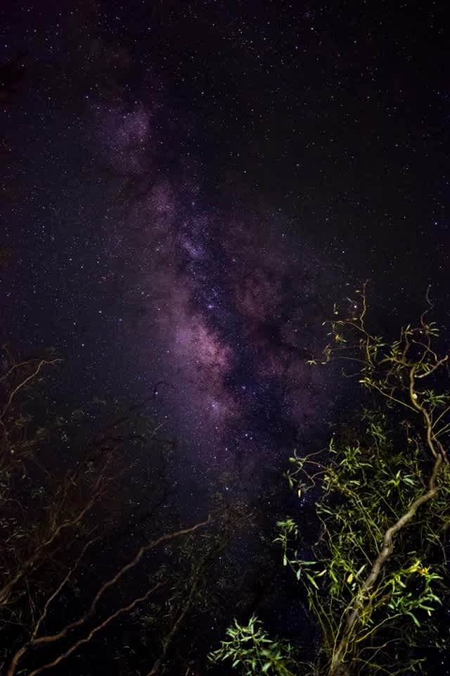 Barkala farmstay
