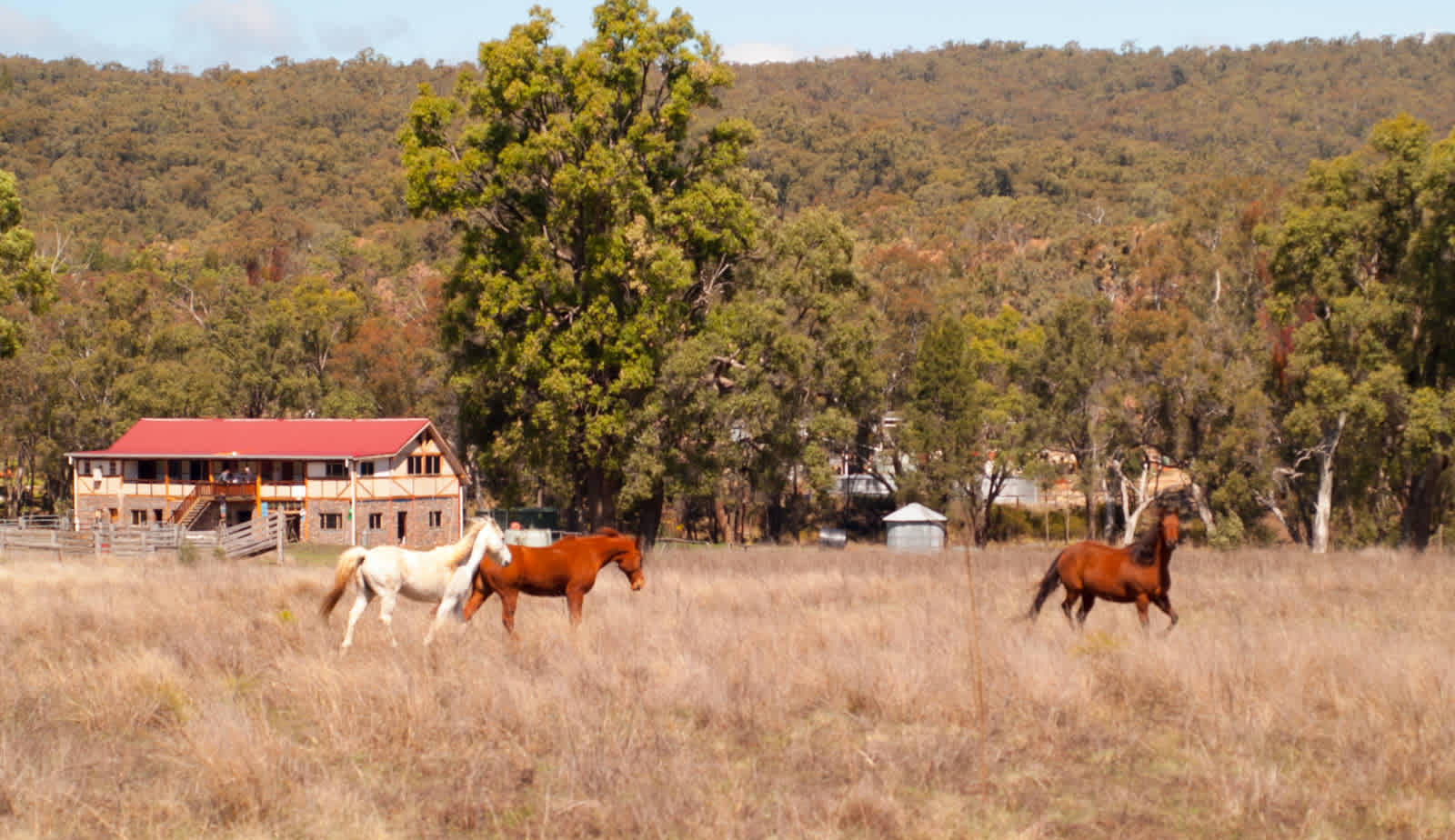 Barkala farmstay