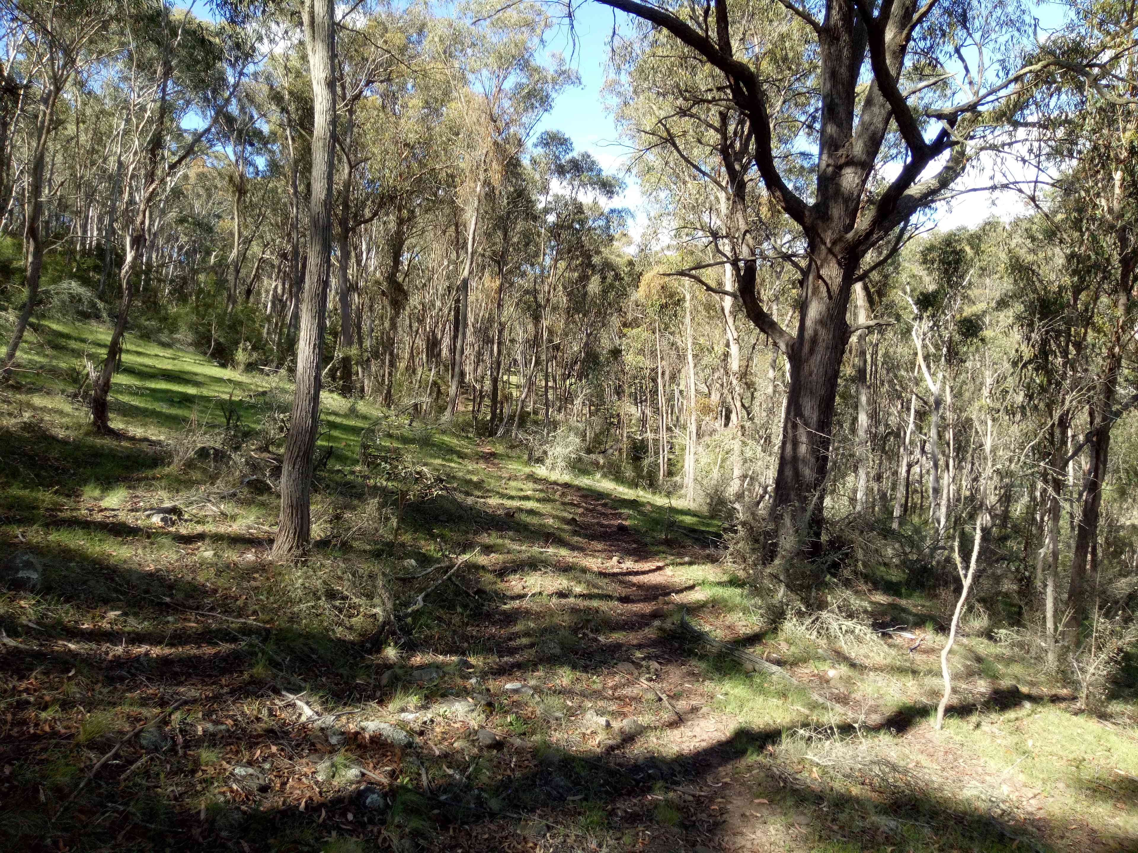 Briarfield