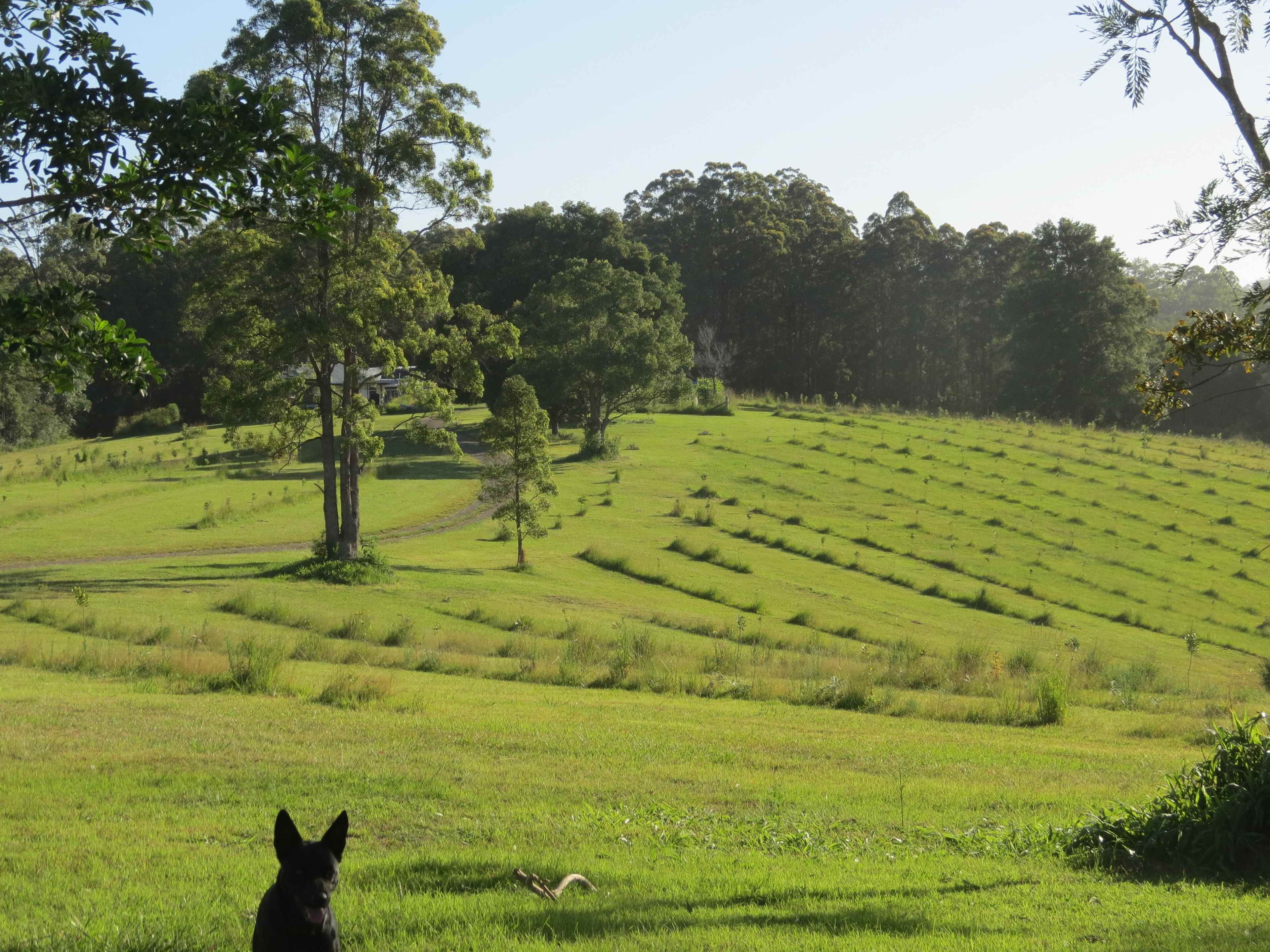Kooinda Farm