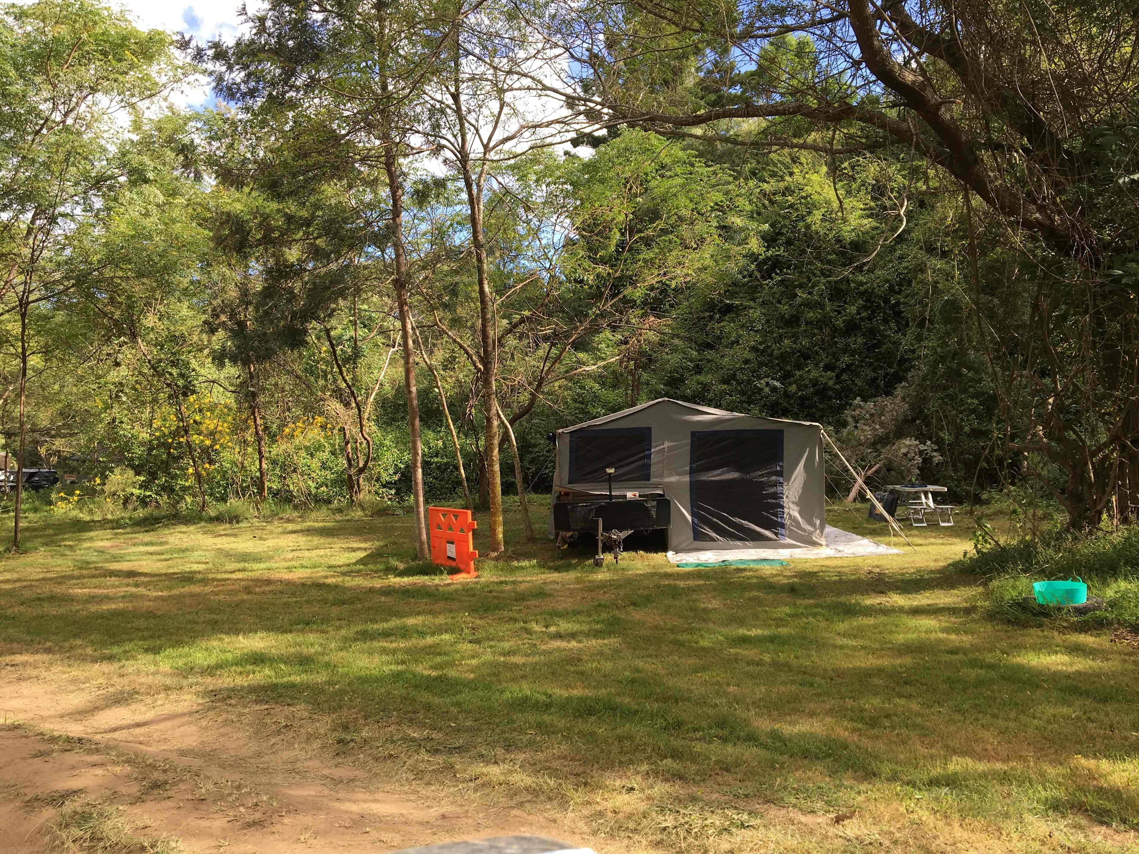 O/L 1 Creek campsite