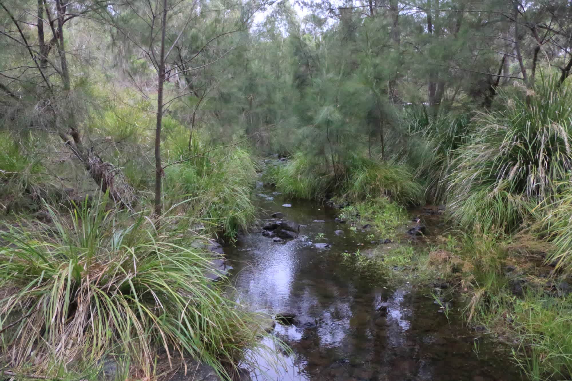 Listen to the creek sounds