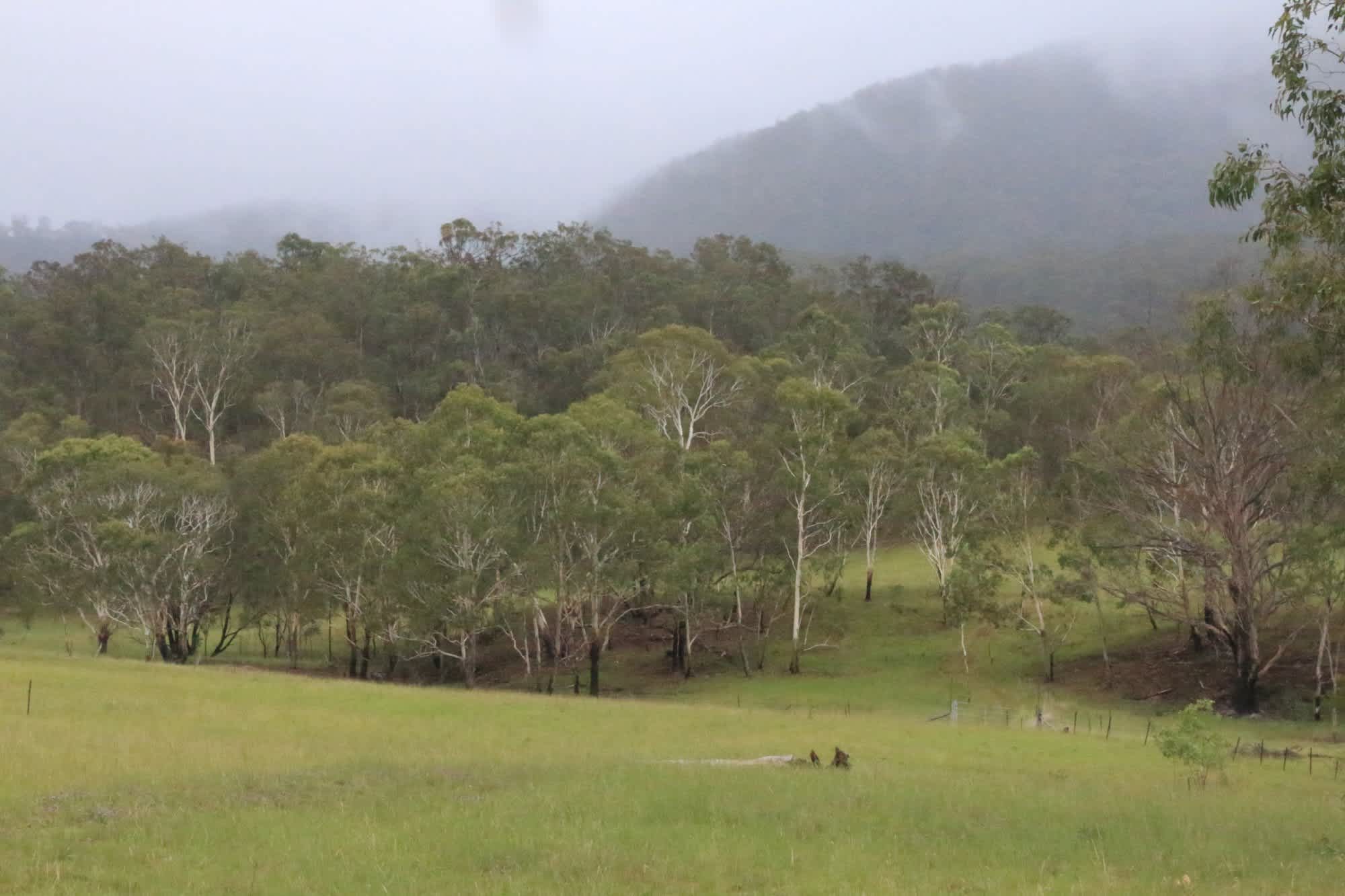 Nyalar Mirunganah Nature Refuge