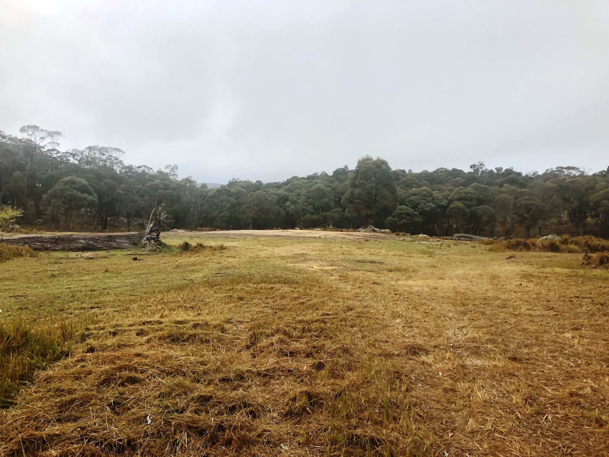 Jindalee