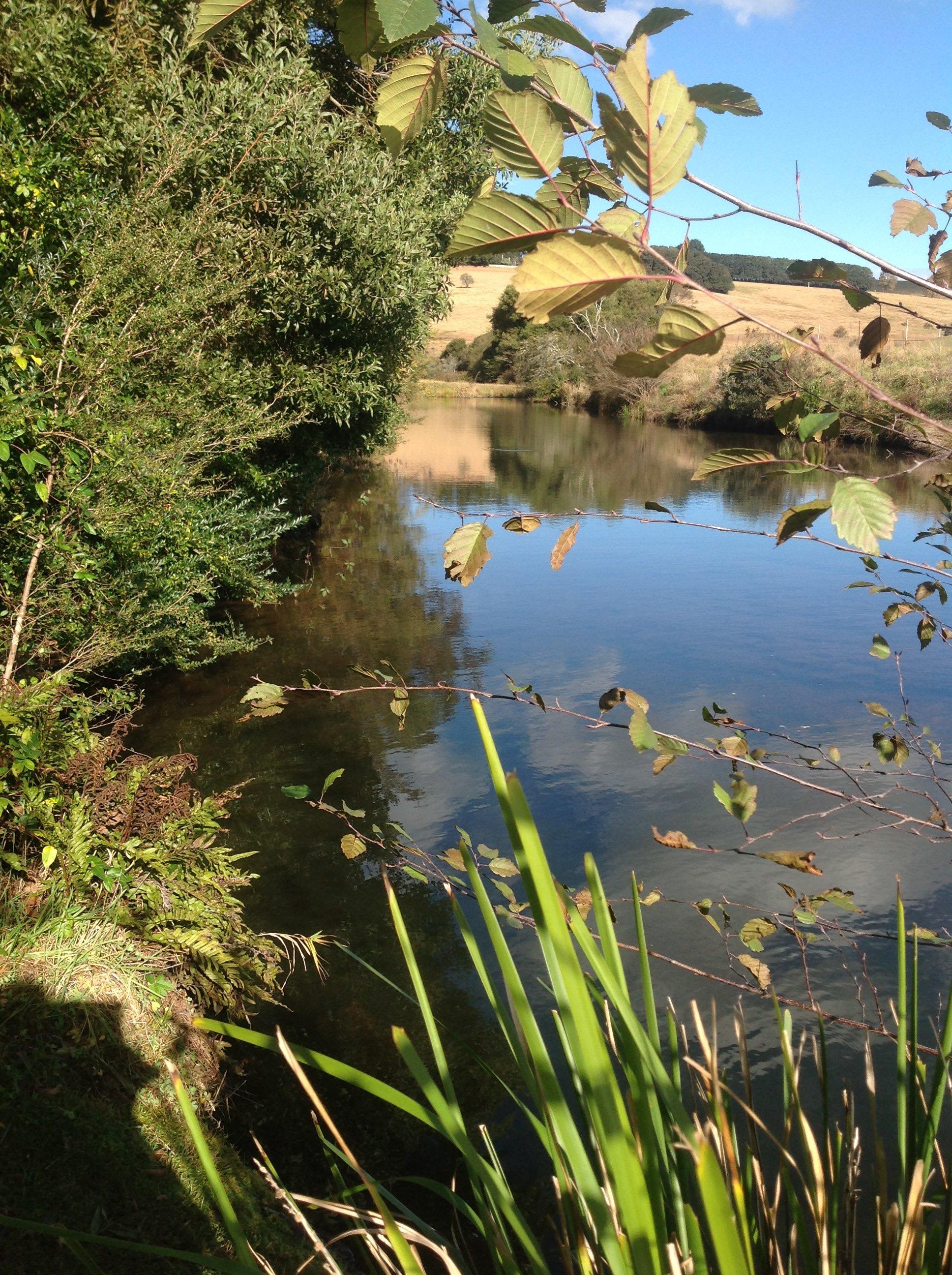 Peaceful river, trout rising..