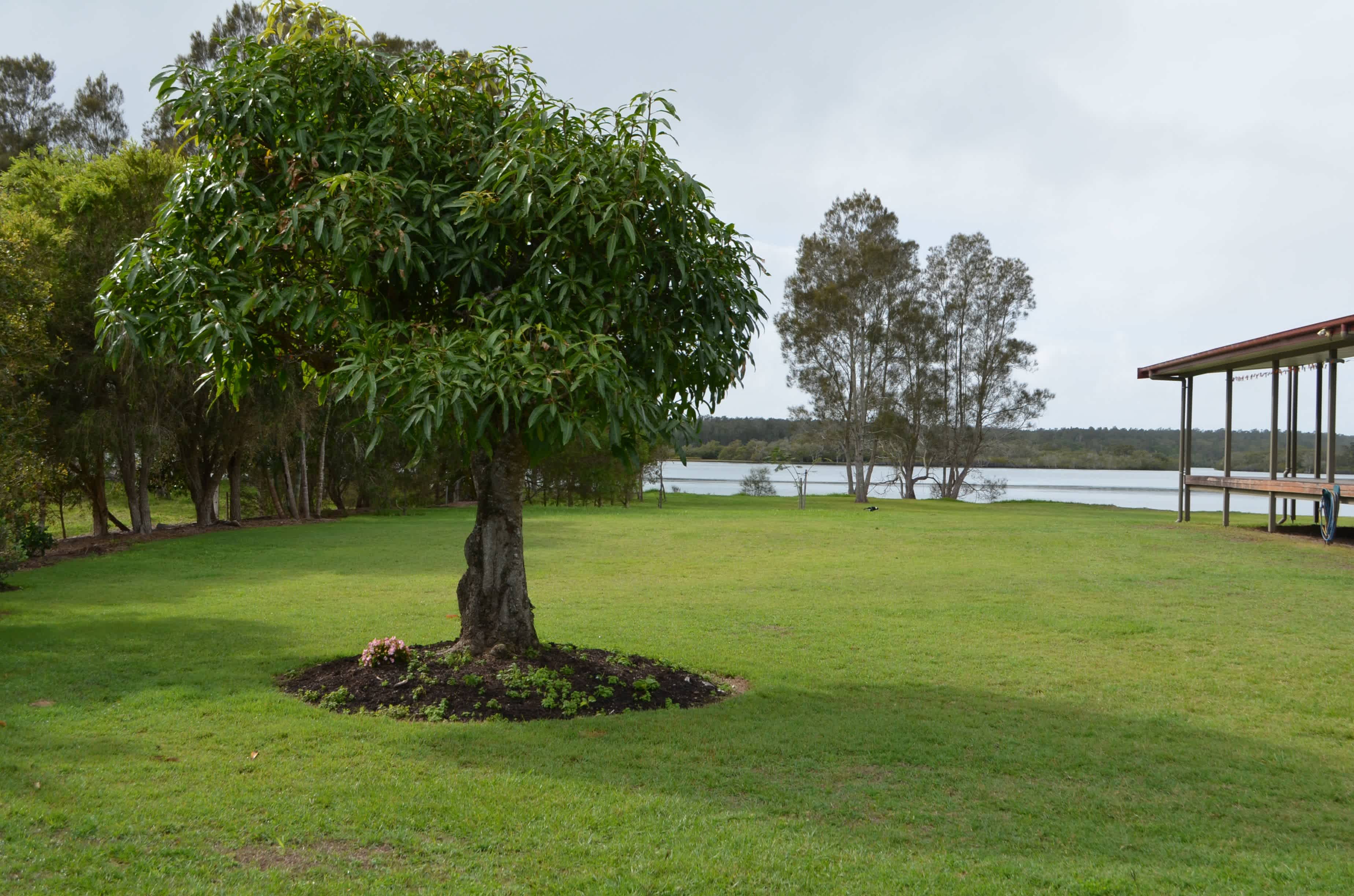 Overlooking the river, close to the homestead but mostly private. 