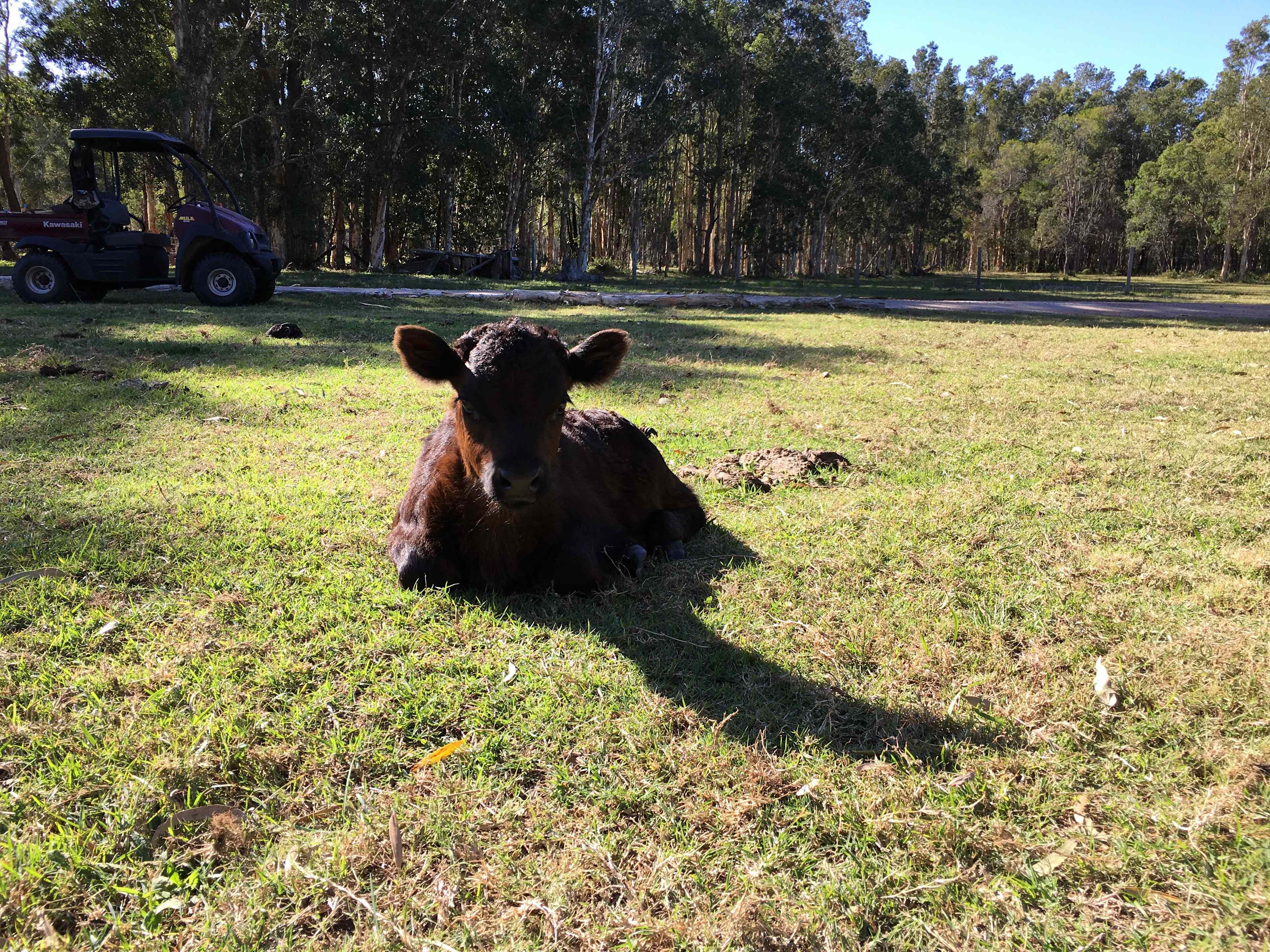 Belly’s Farm Stay