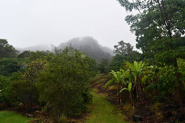 Talweg of Talley Valley on the Gold Coast