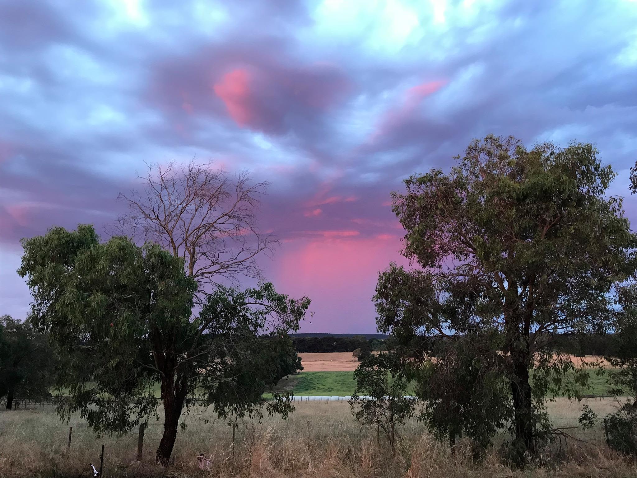 Stunning sunsets 