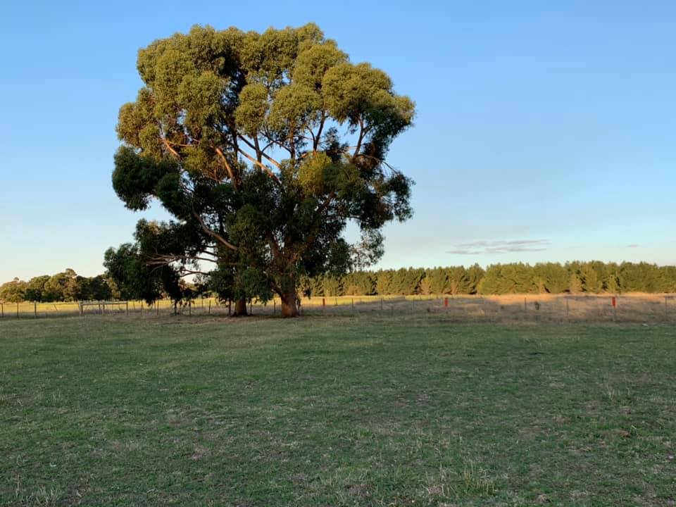 Red site 
