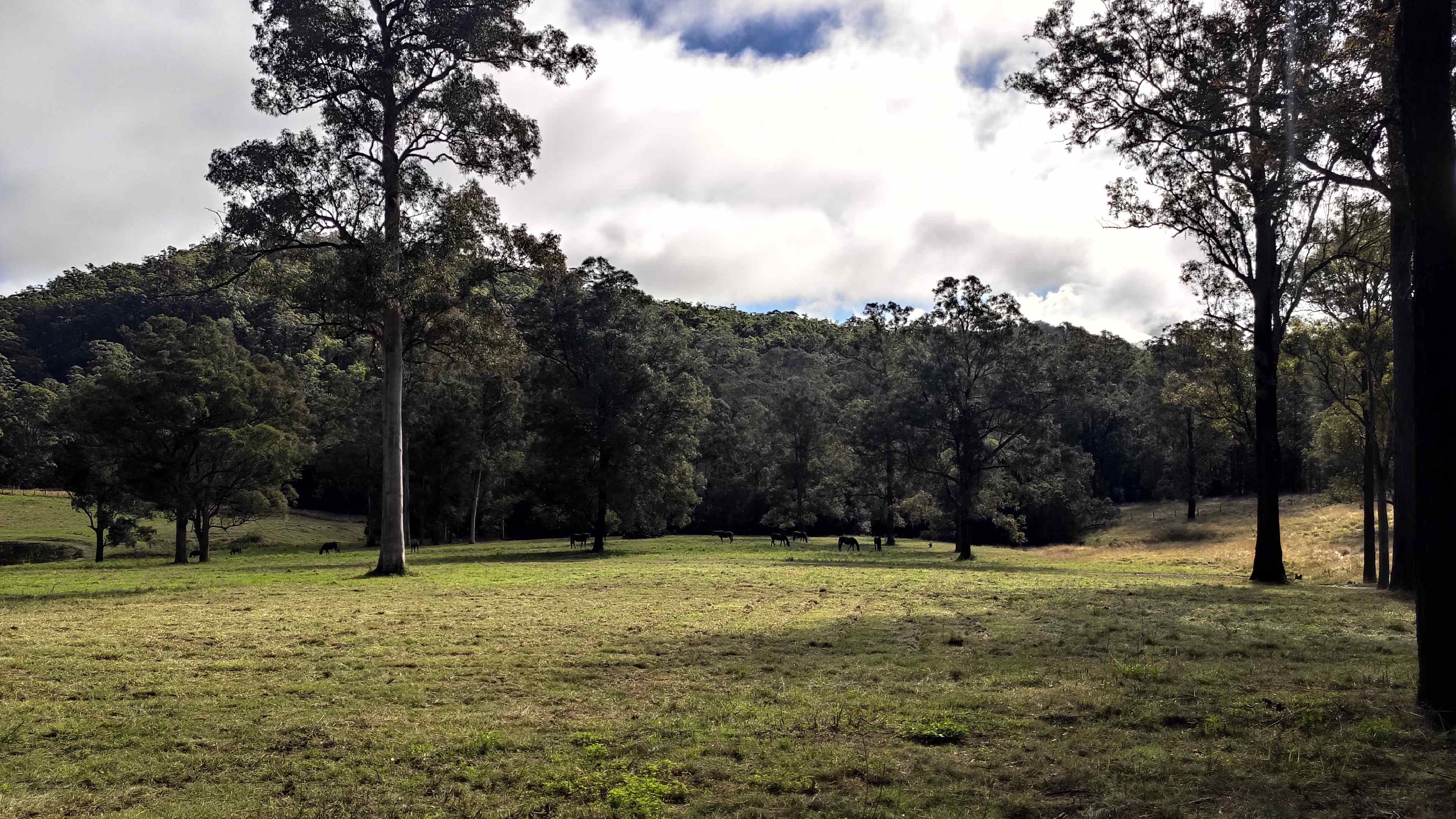'Peaceful' Mistan Valley Farm