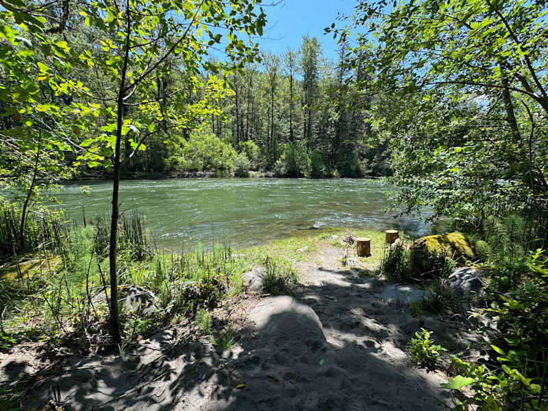 Riverside Cabin at Mt. Hood Enchanted Forest - rustic cabin with river view