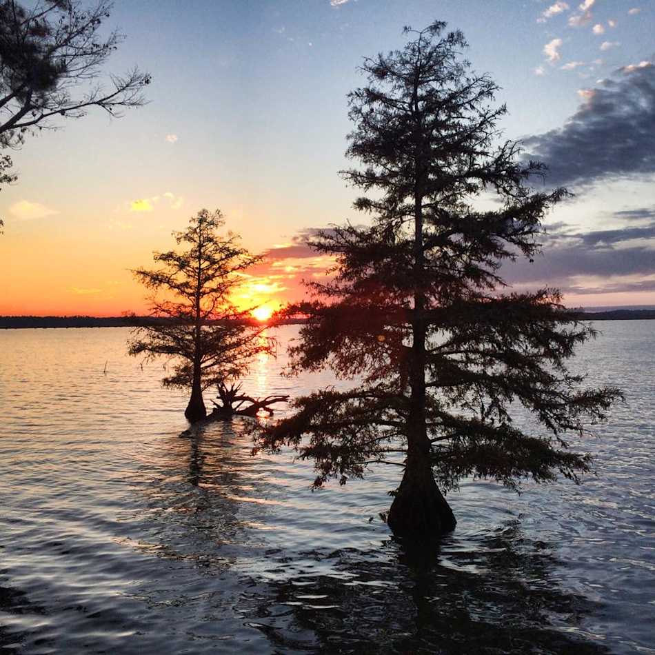 Martin Dies, Jr. State Park