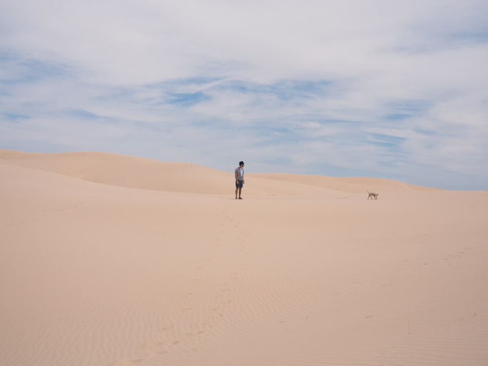 Monahans Sandhills State Park
