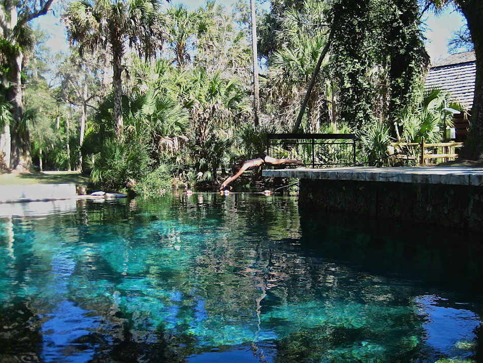 Ocala National Forest