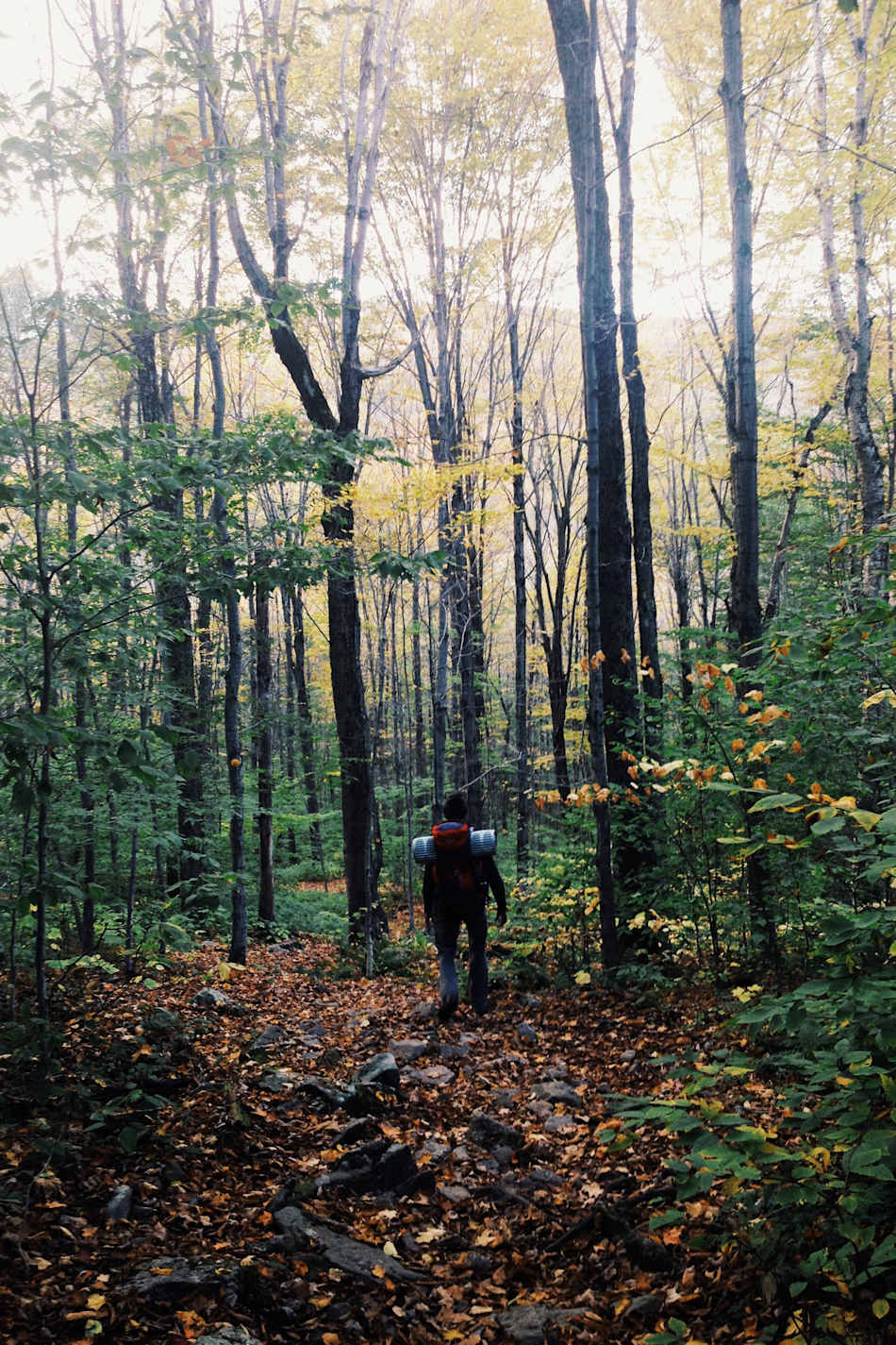 The descent from Slide Mountain during peak fall foliage
