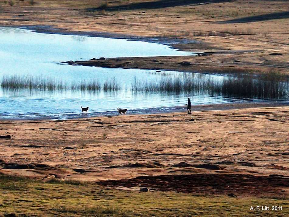 Folsom Lake State Recreation Area