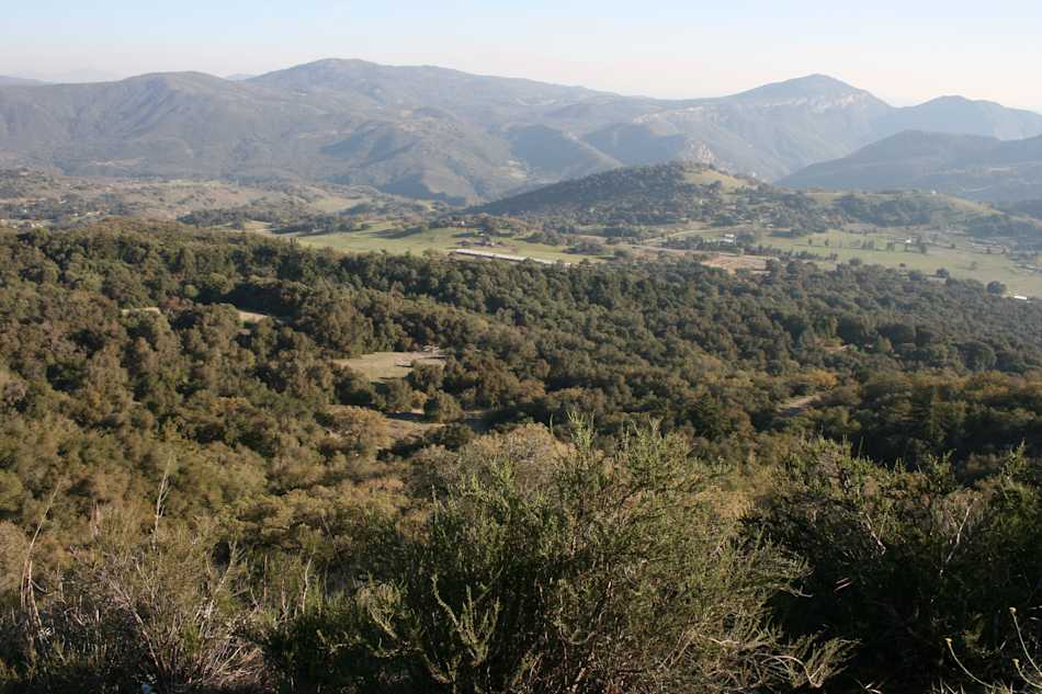 Palomar Mountain State Park