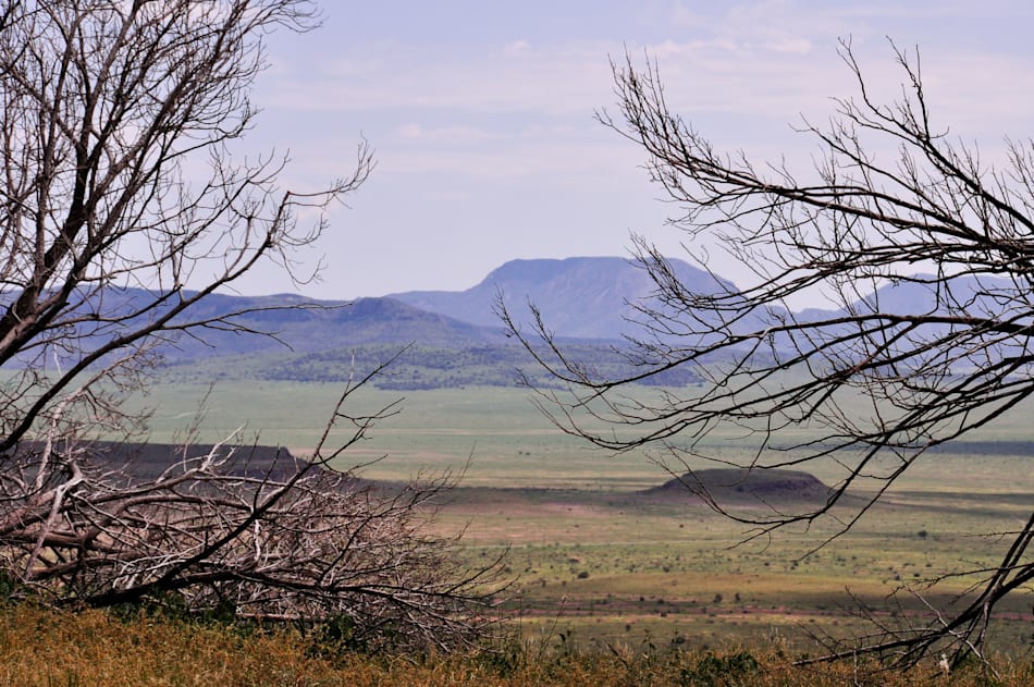 Davis Mountains State Park