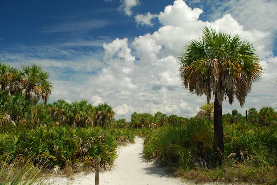 Caladesi Island State Park