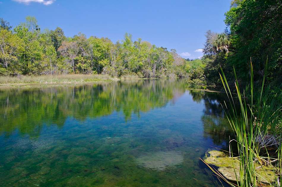 Ocala National Forest