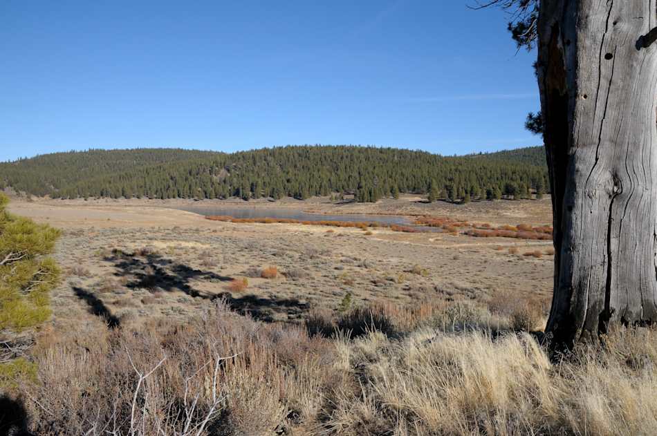 Martis Creek Lake